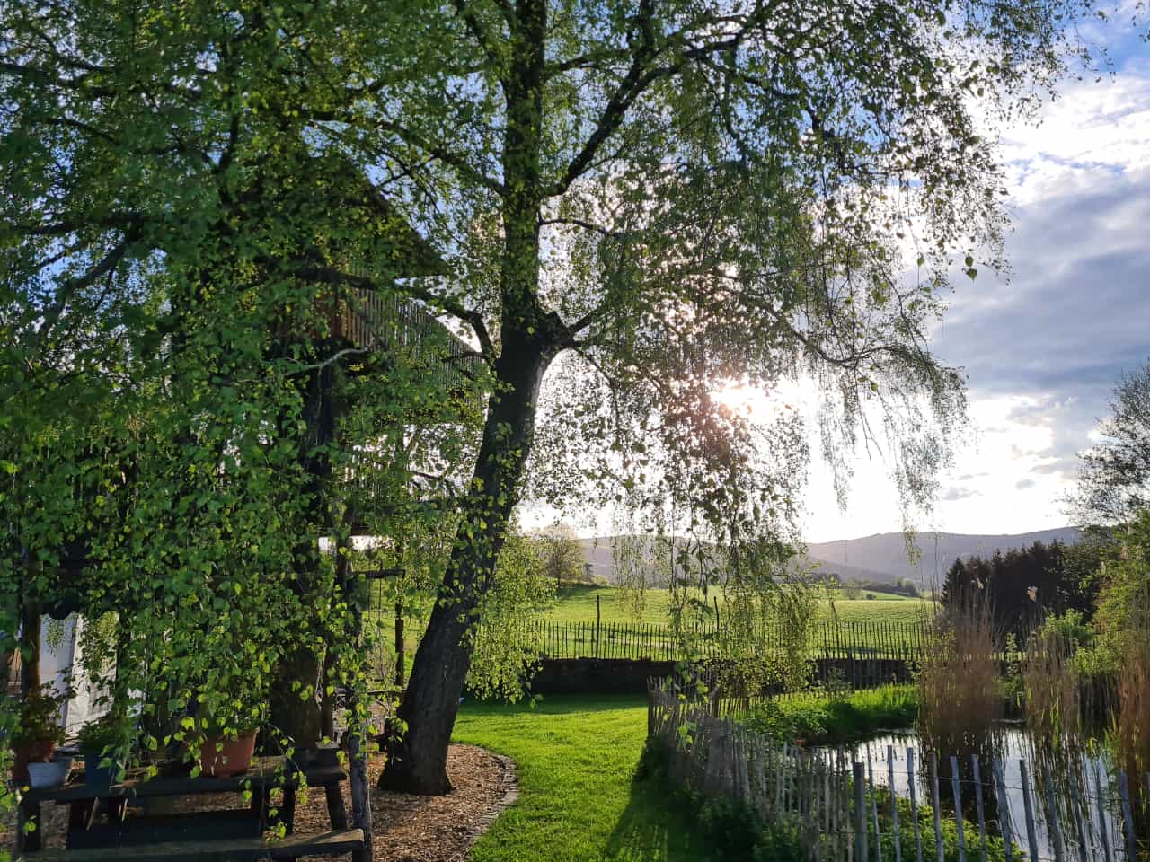 Naturhäuschen in Mürlenbach