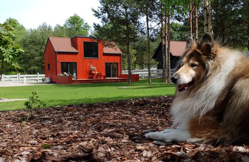 Natuurhuisje in Gąsiorowo