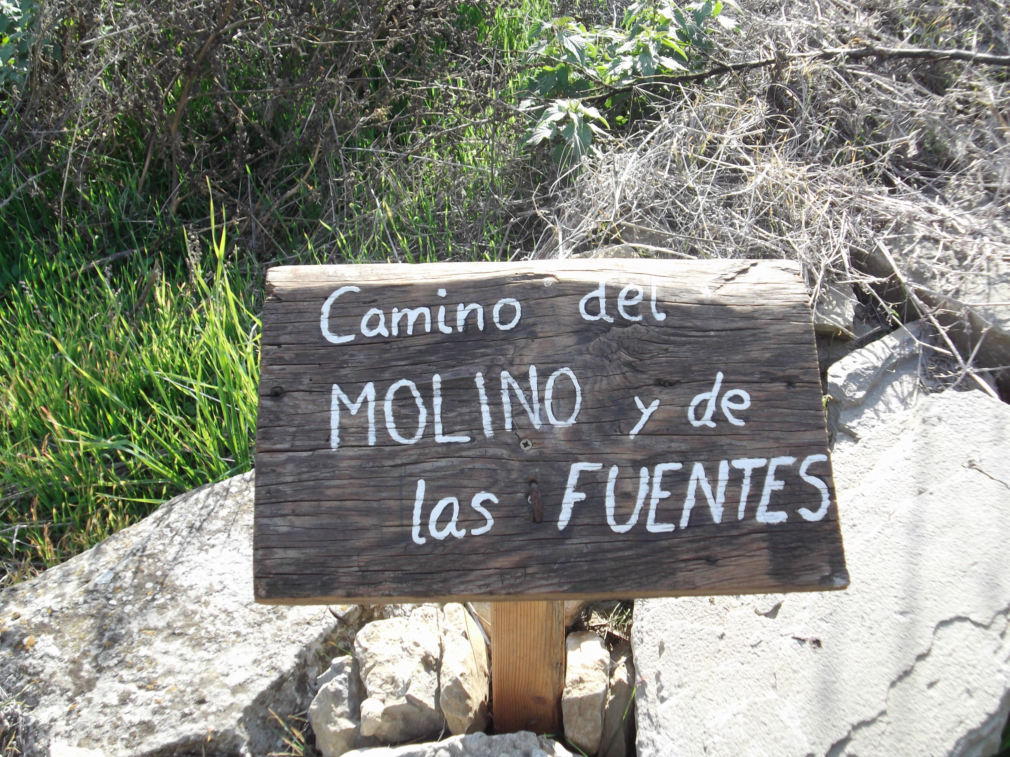 - image: 16