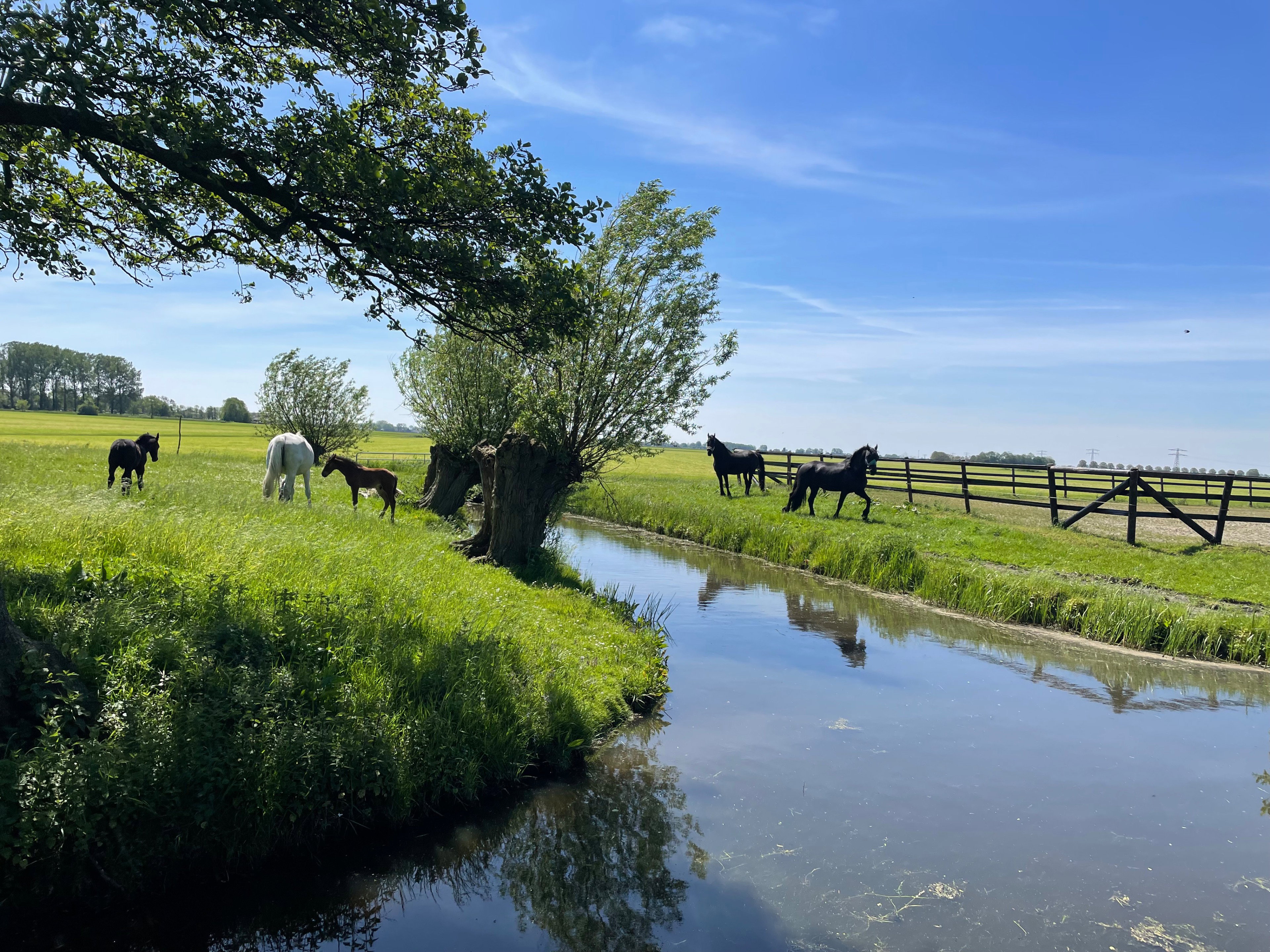 Casa nella natura a Wytgaard
