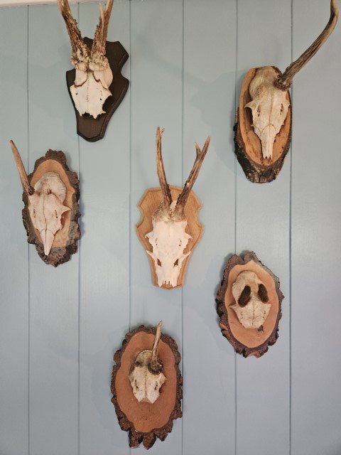 Naturhäuschen in Scharendijke