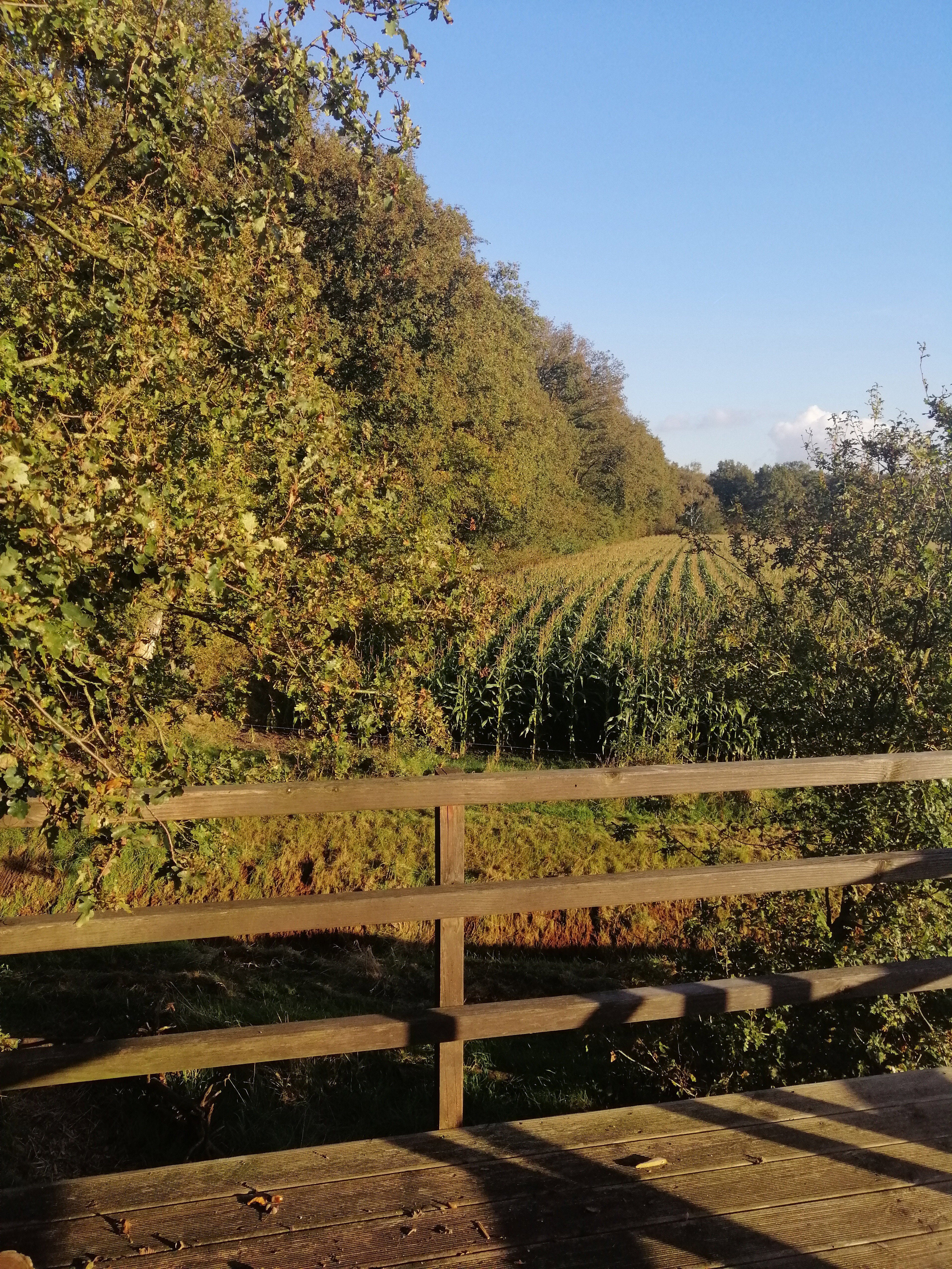 Casa nella natura a Boekel