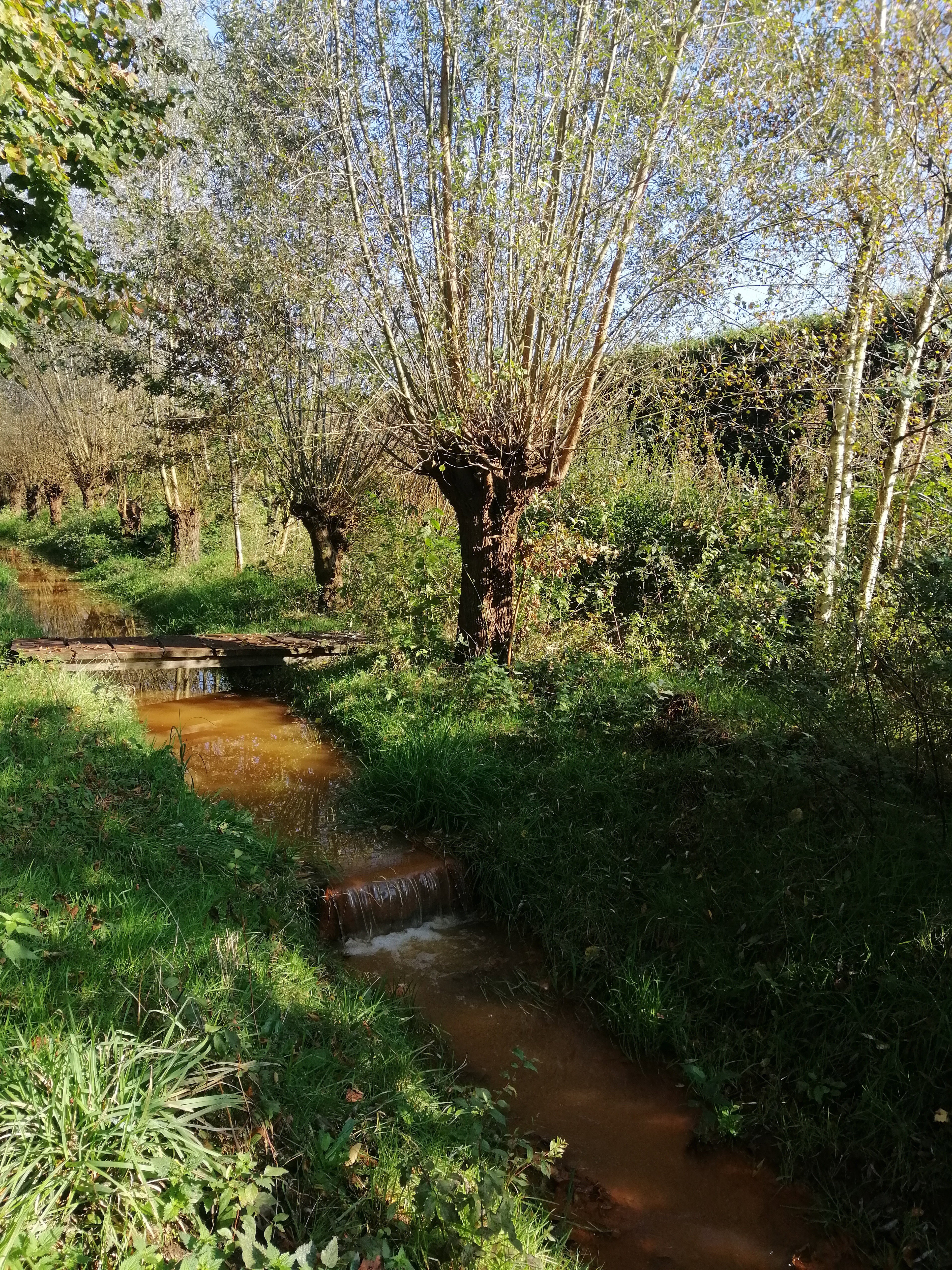 Casa nella natura a Boekel