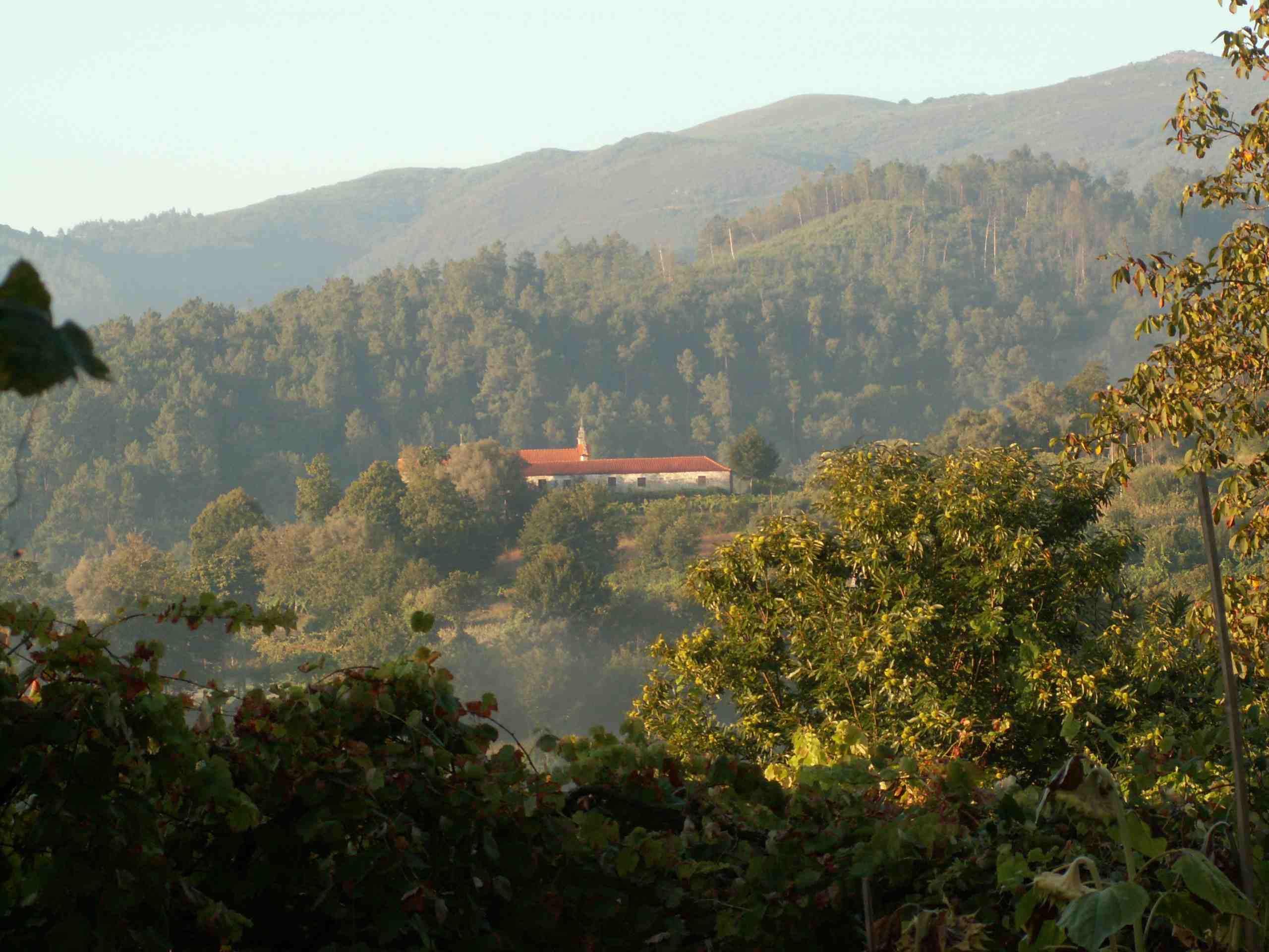 - image: 16