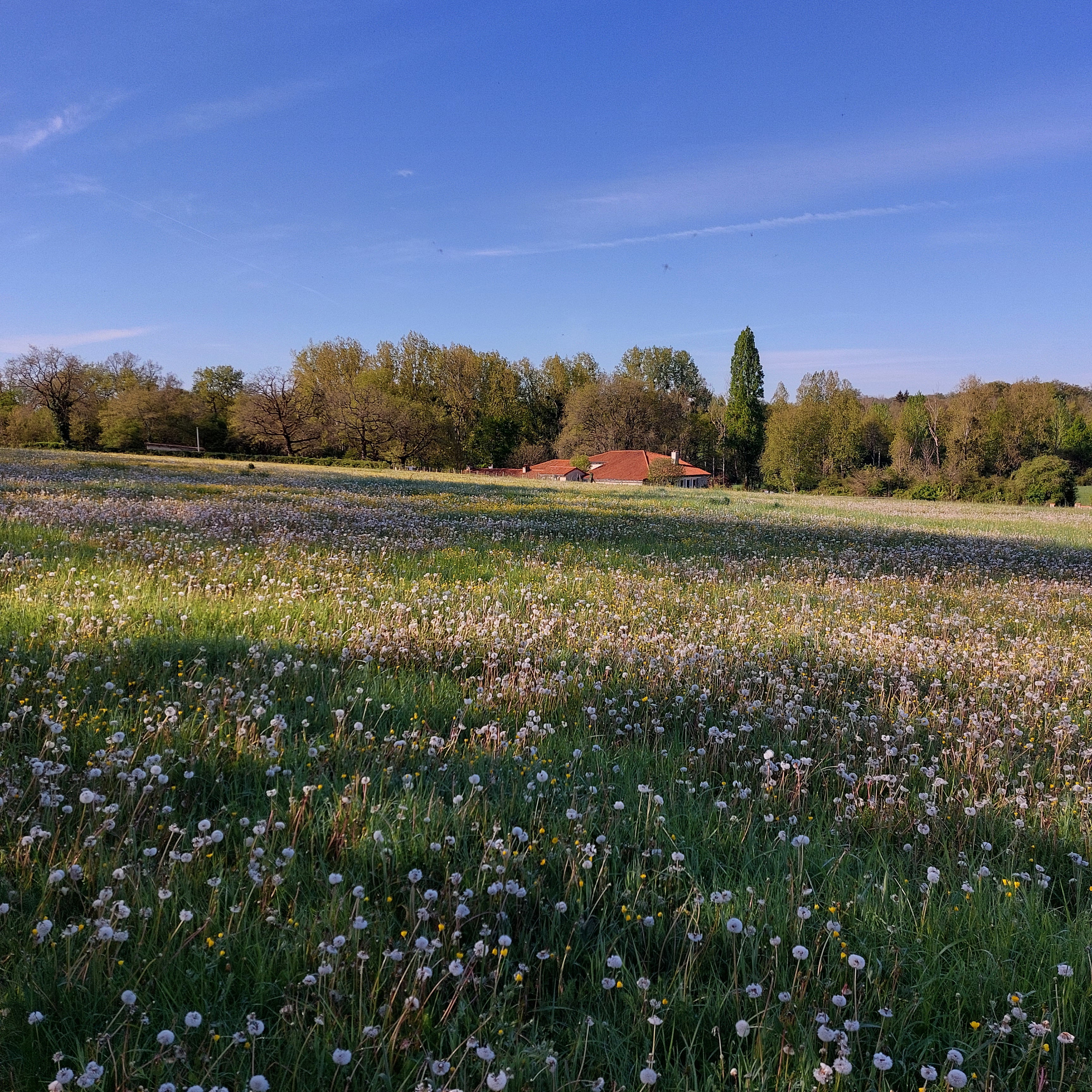 Nature house in Payroux