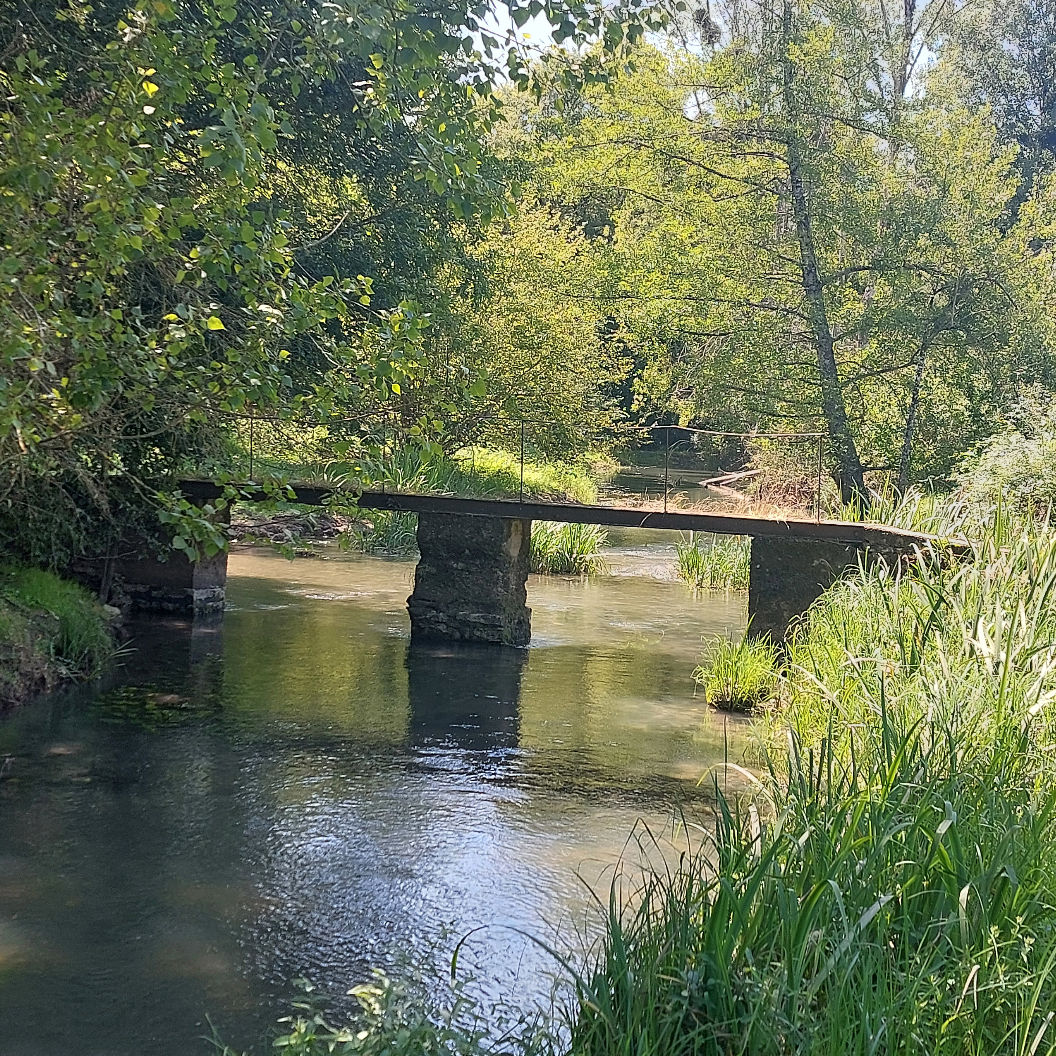 - image: 15