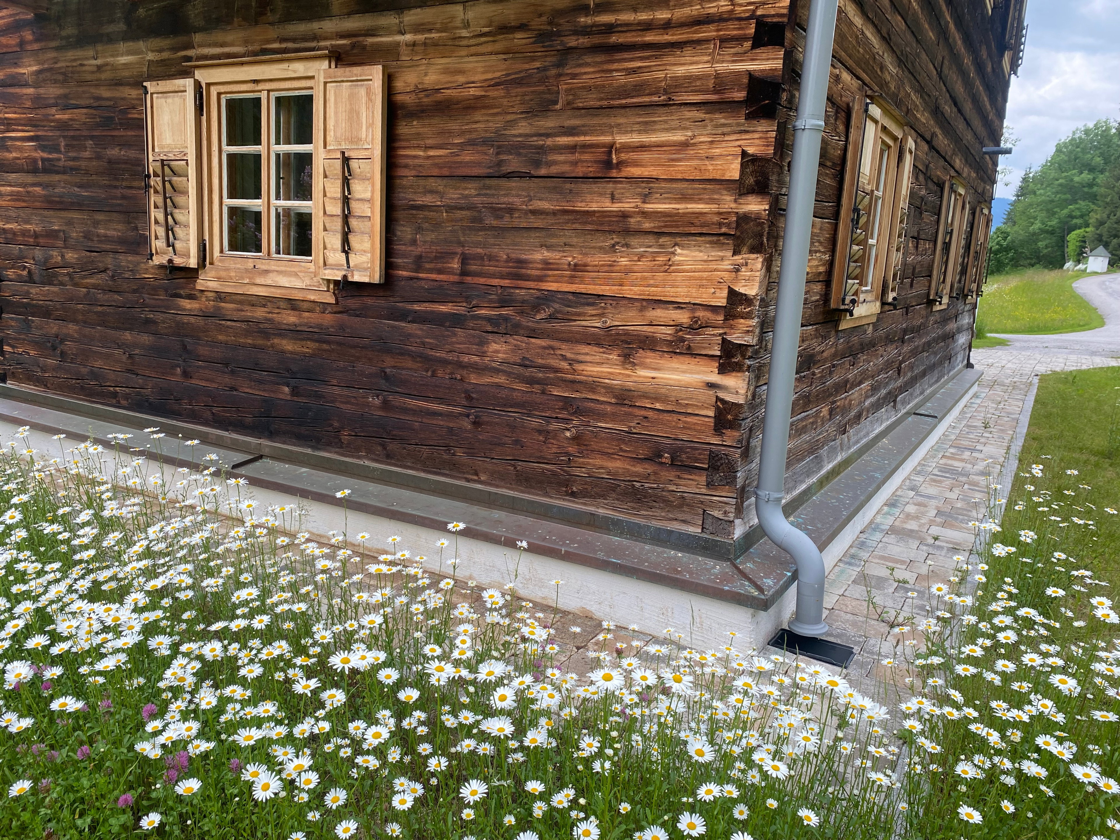Natuurhuisje in Untertauern