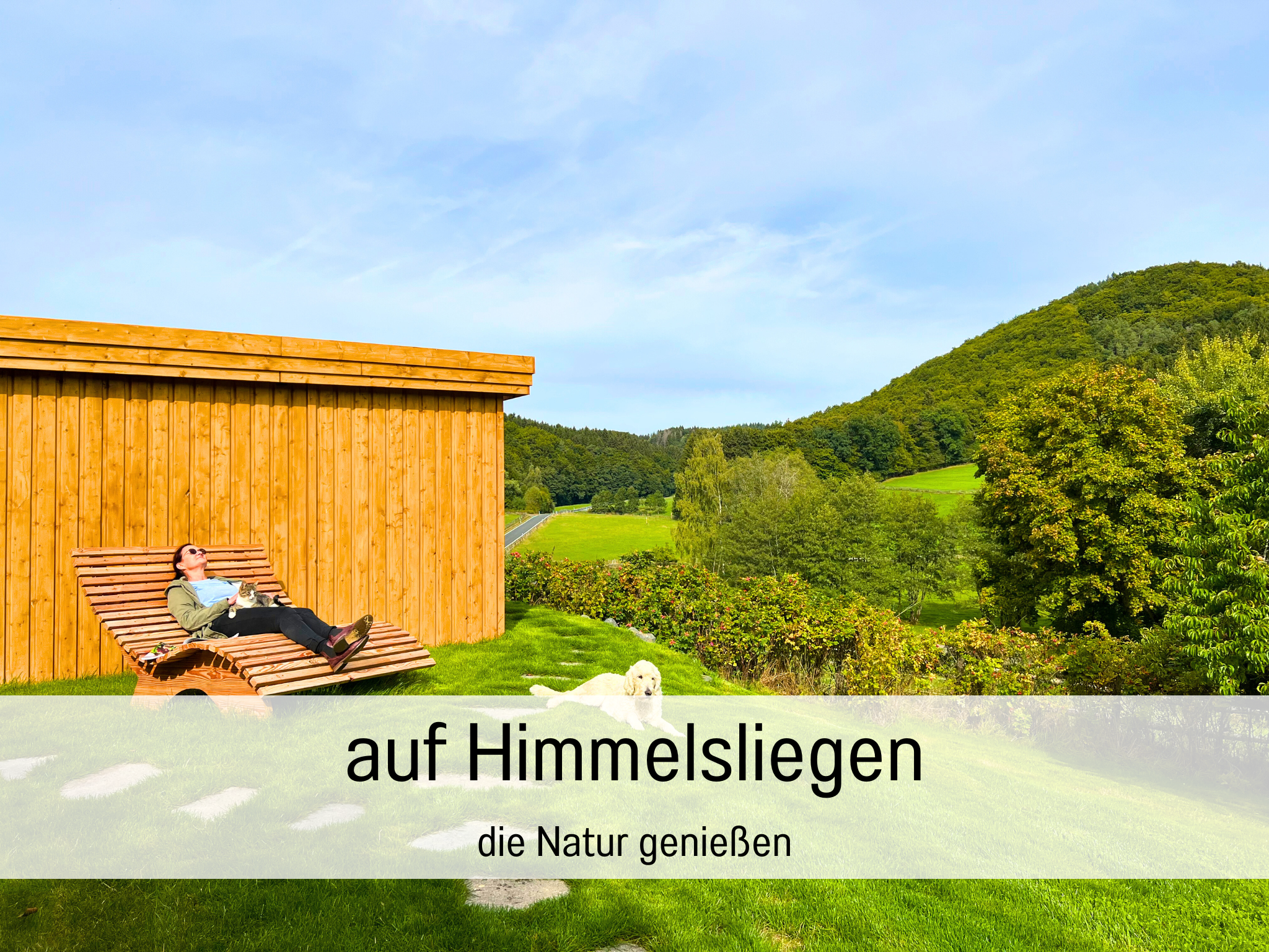 - image: 25