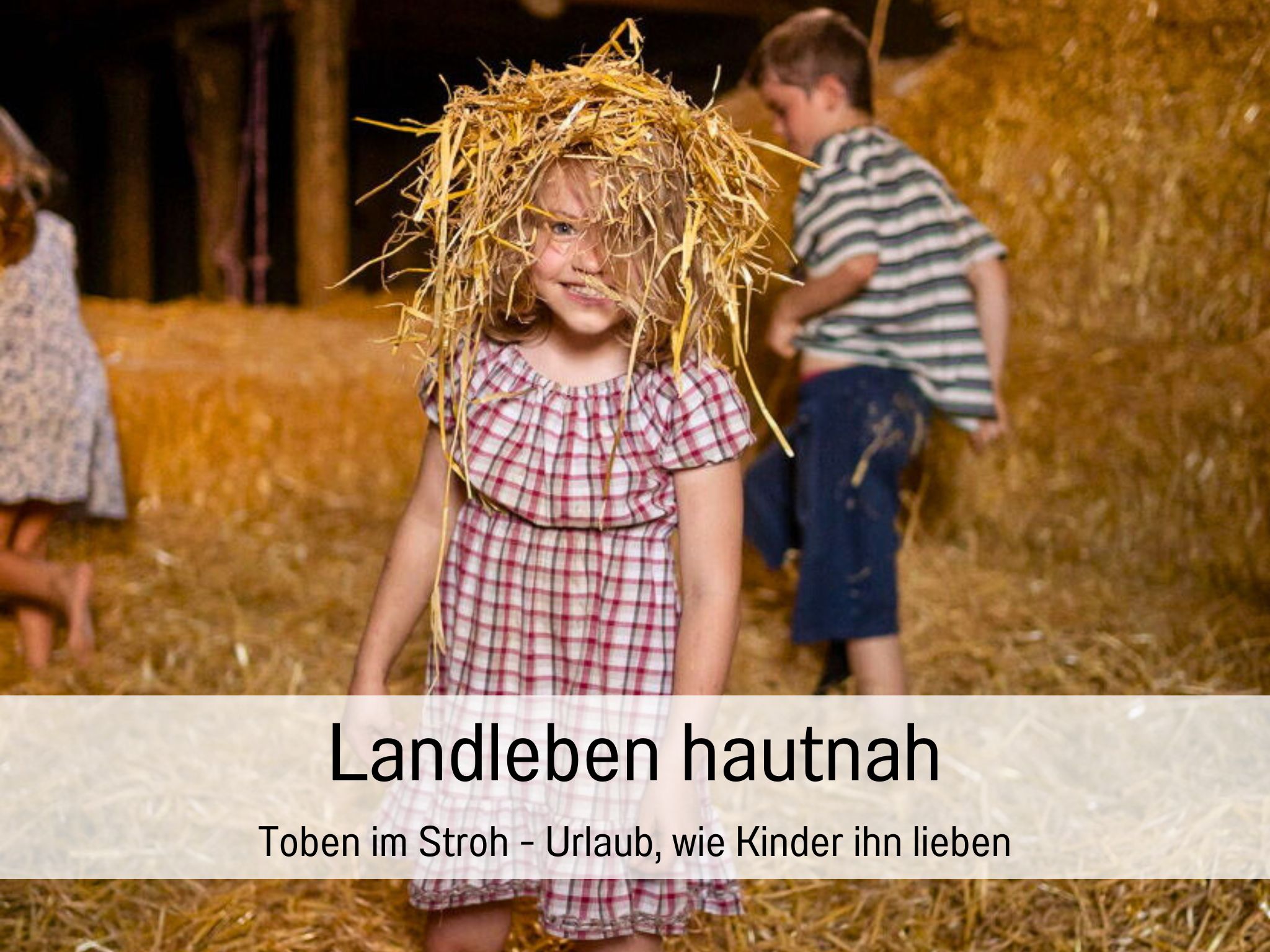 - image: 1