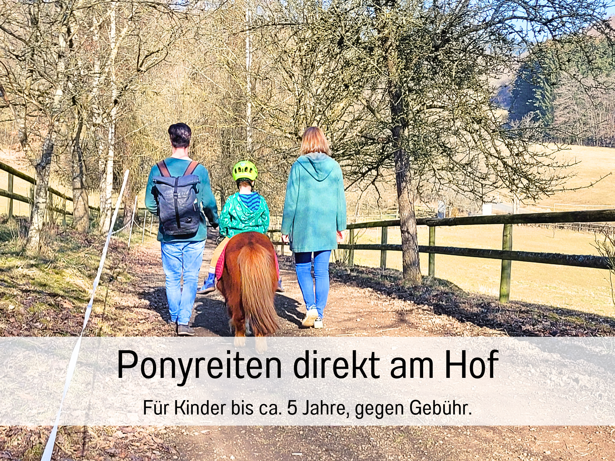 - image: 11