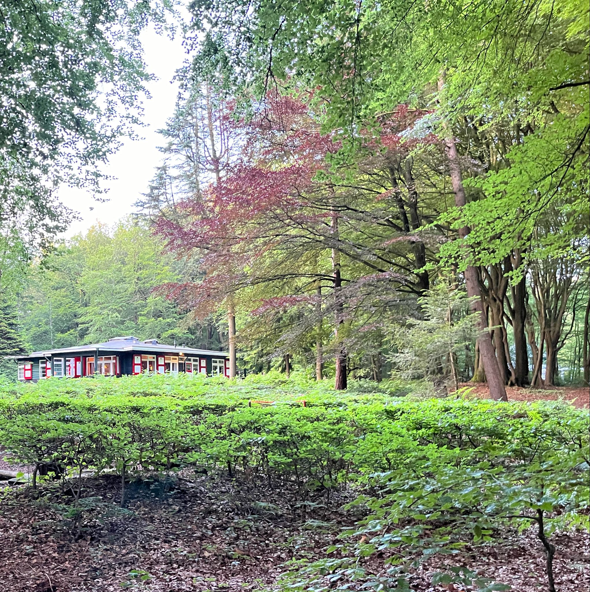 Casa nella natura a Putten