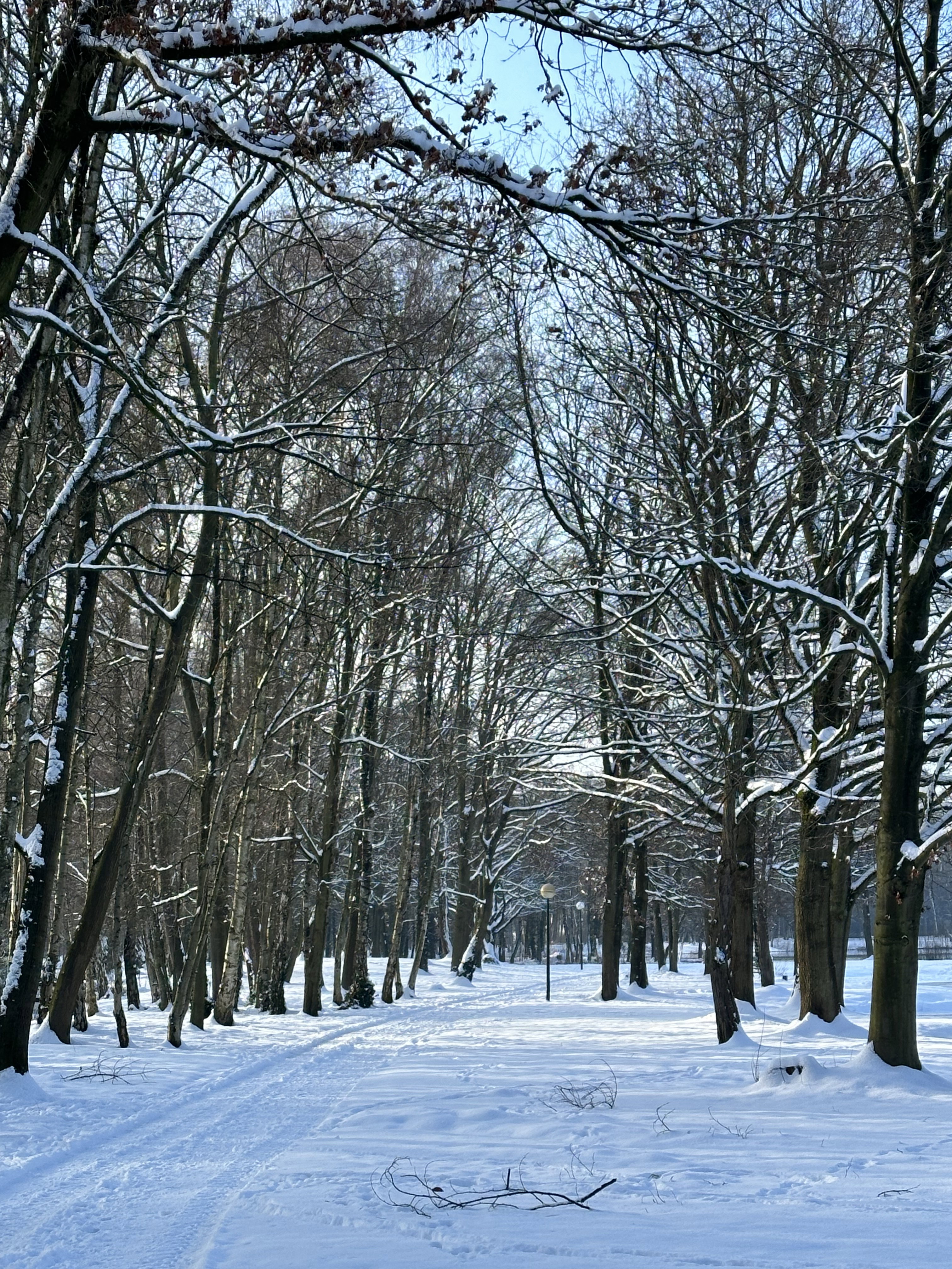 - image: 15