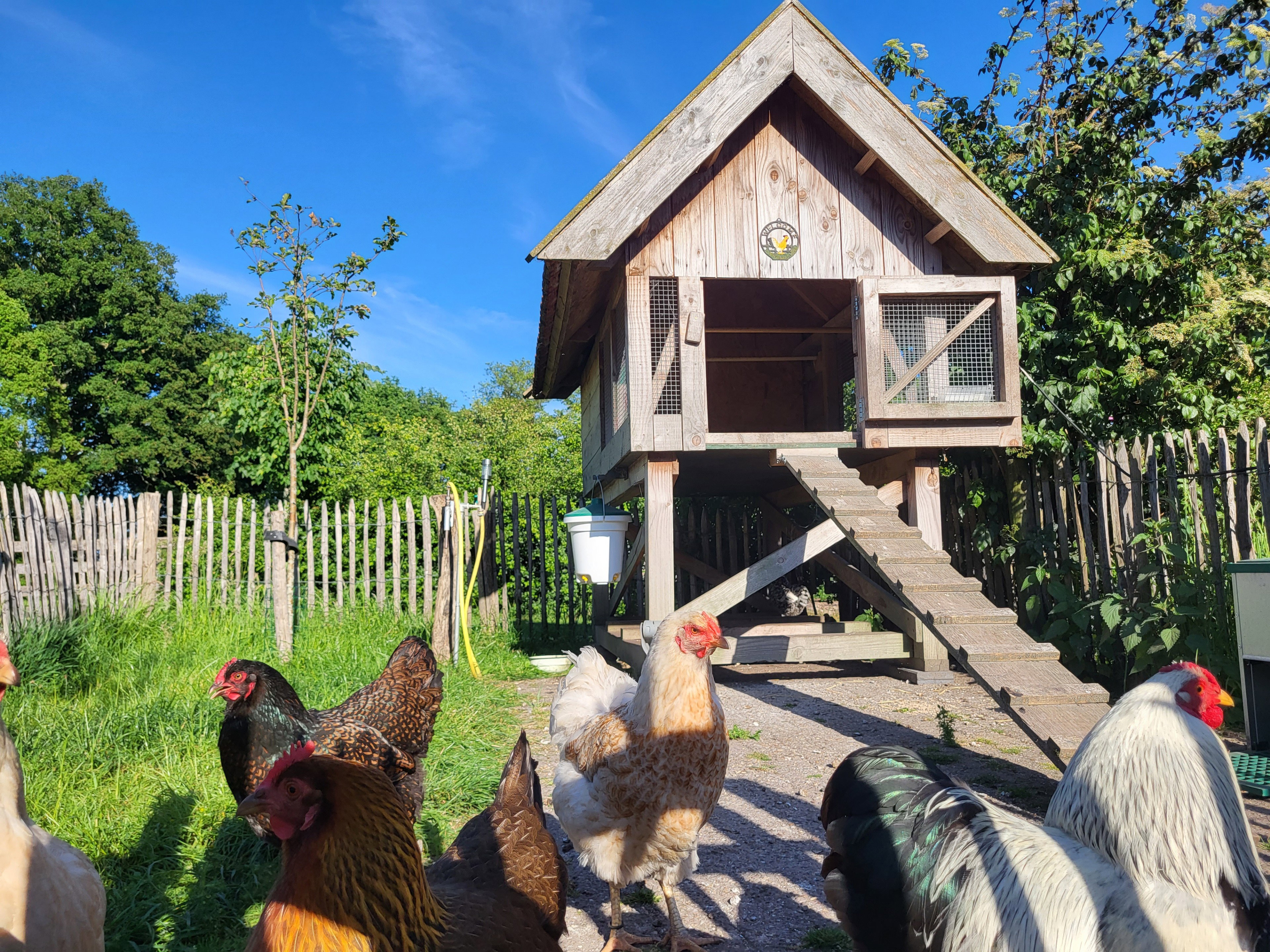 Natuurhuisje in Bornerbroek