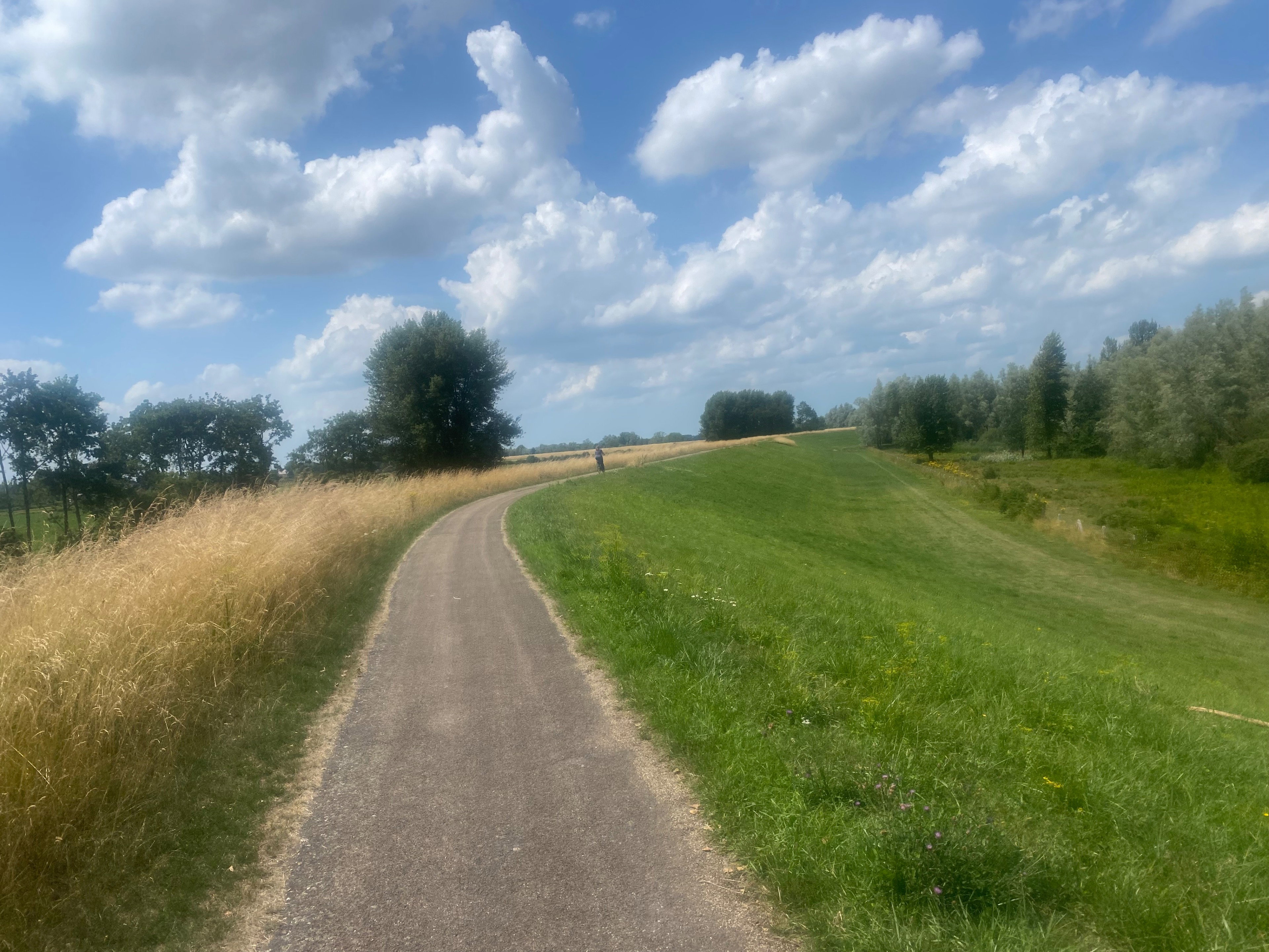 - image: 26
