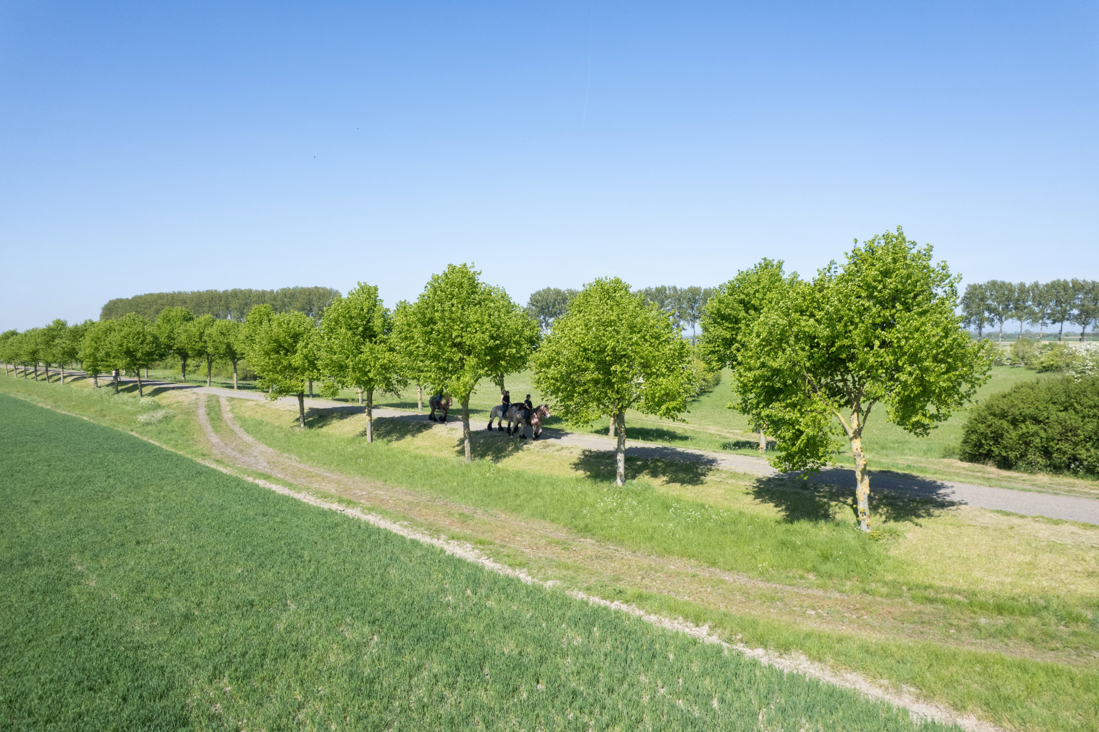 Casa nella natura a Oostburg
