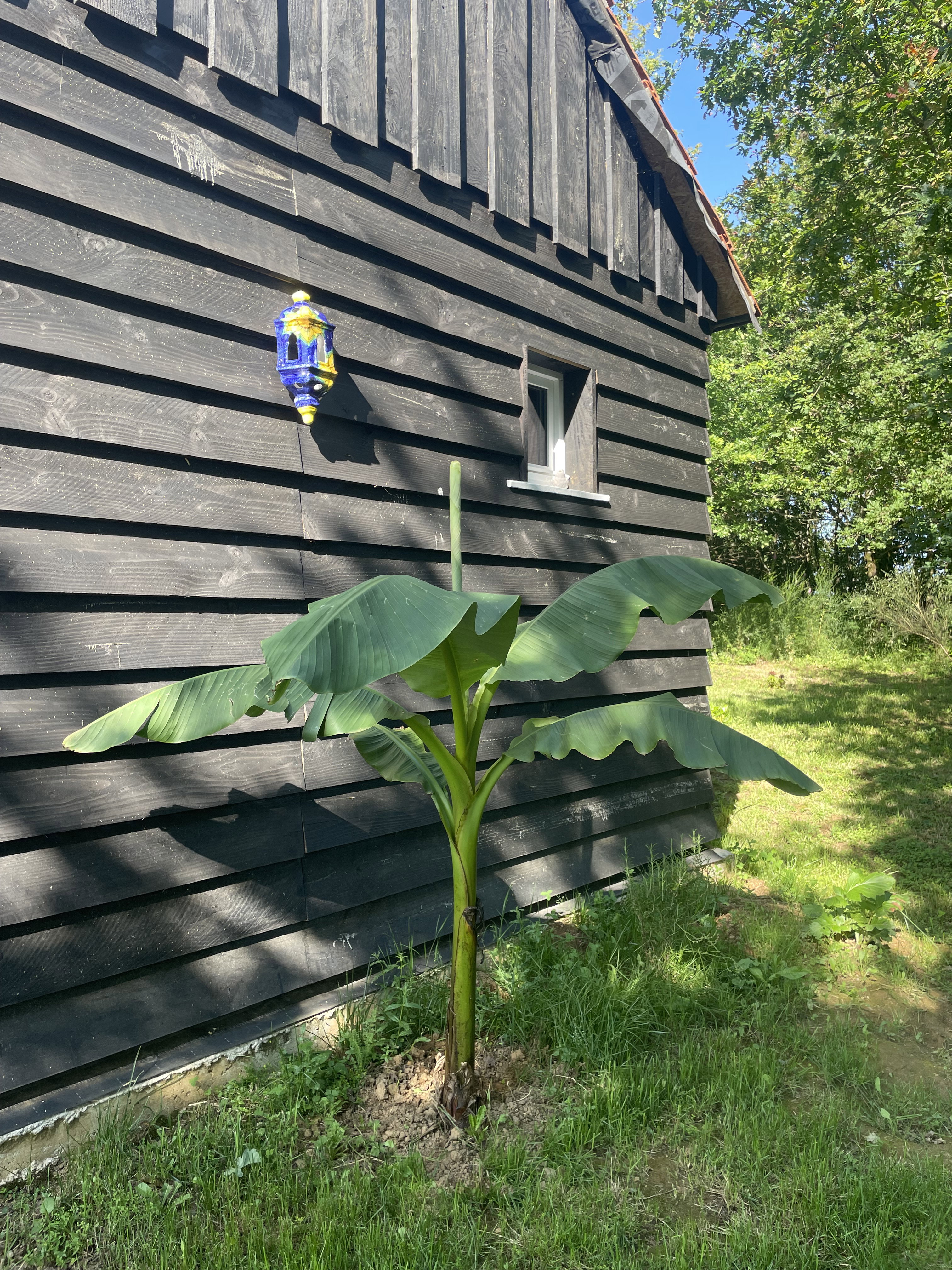 Casa nella natura a Beyssac