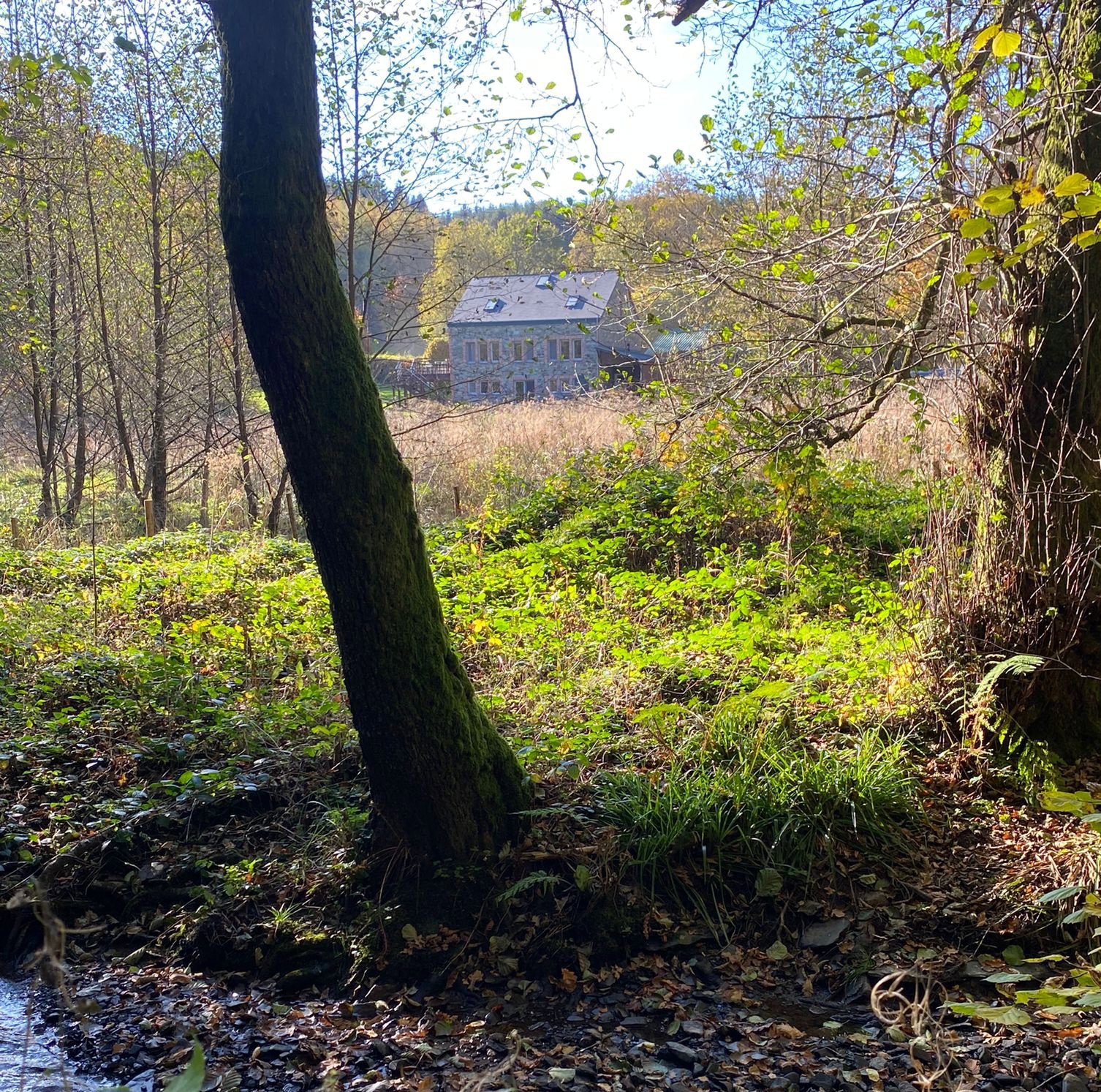 Natuurhuisje in Wibrin