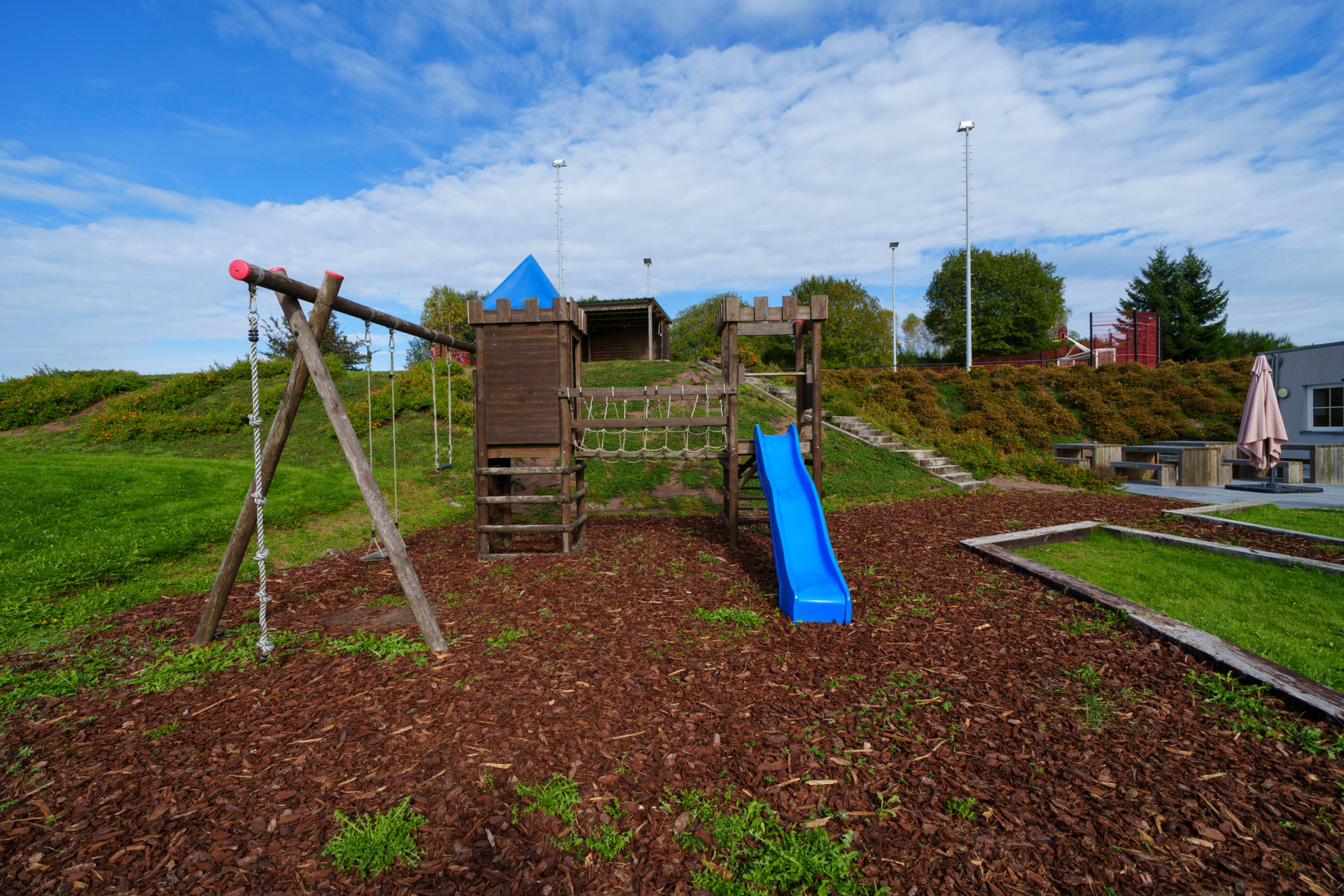 - image: 11
