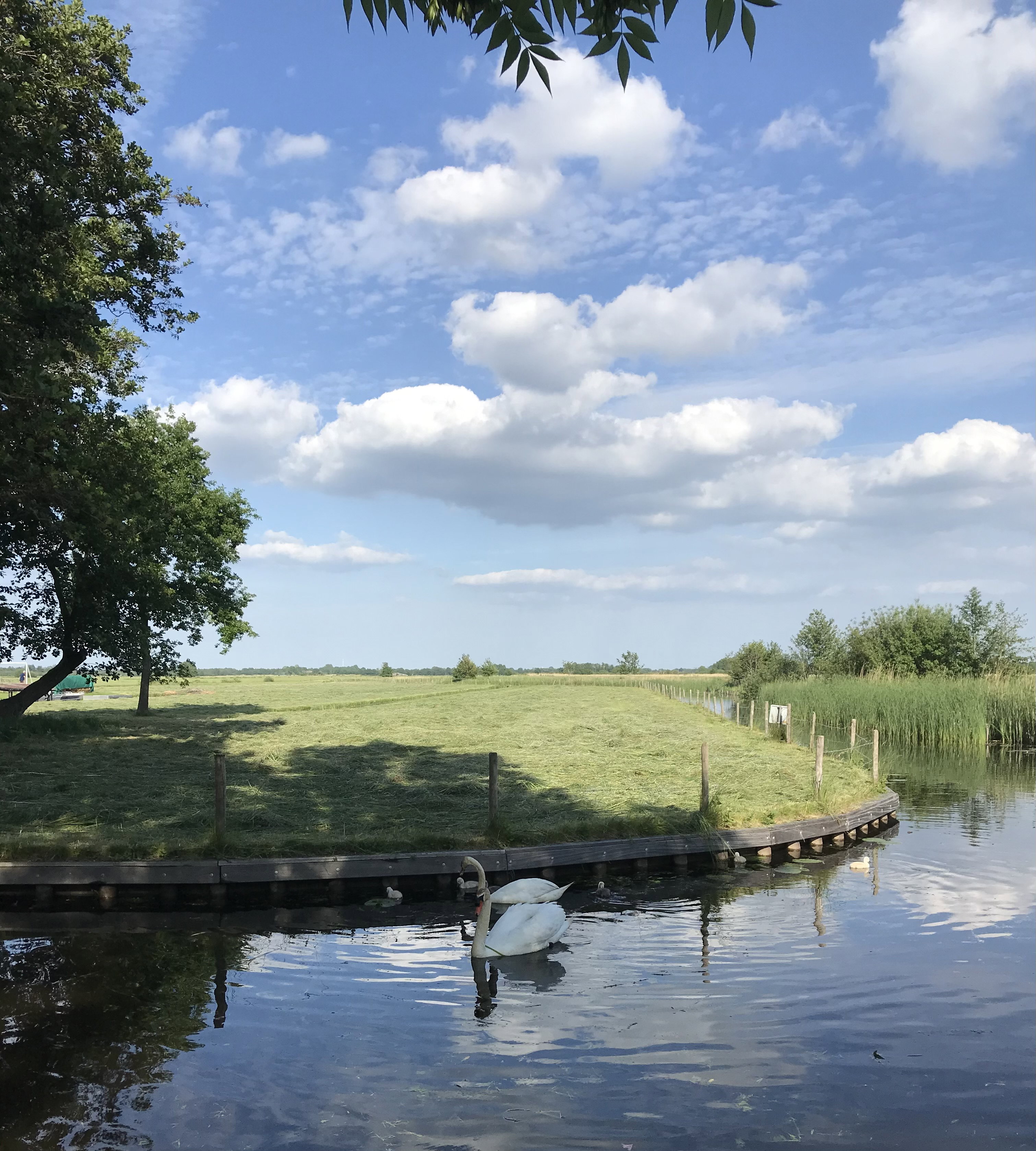 Naturhäuschen in Giethoorn