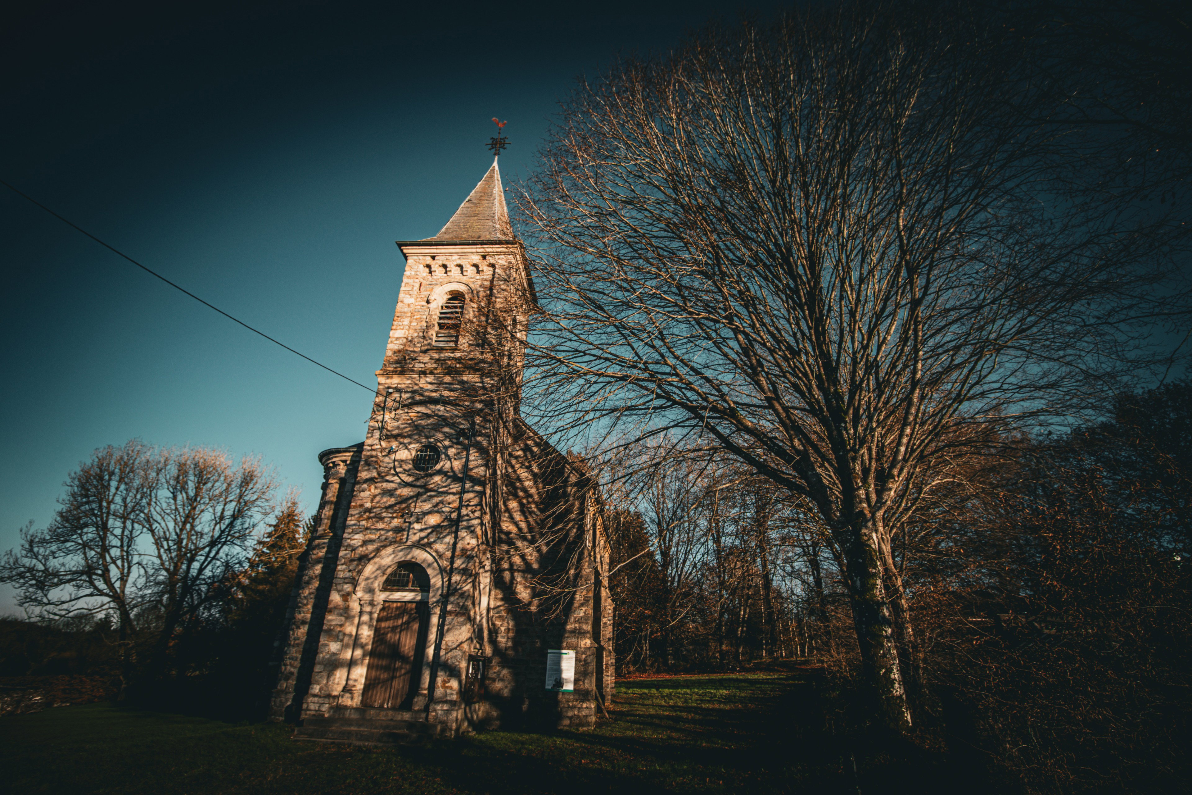 - image: 16