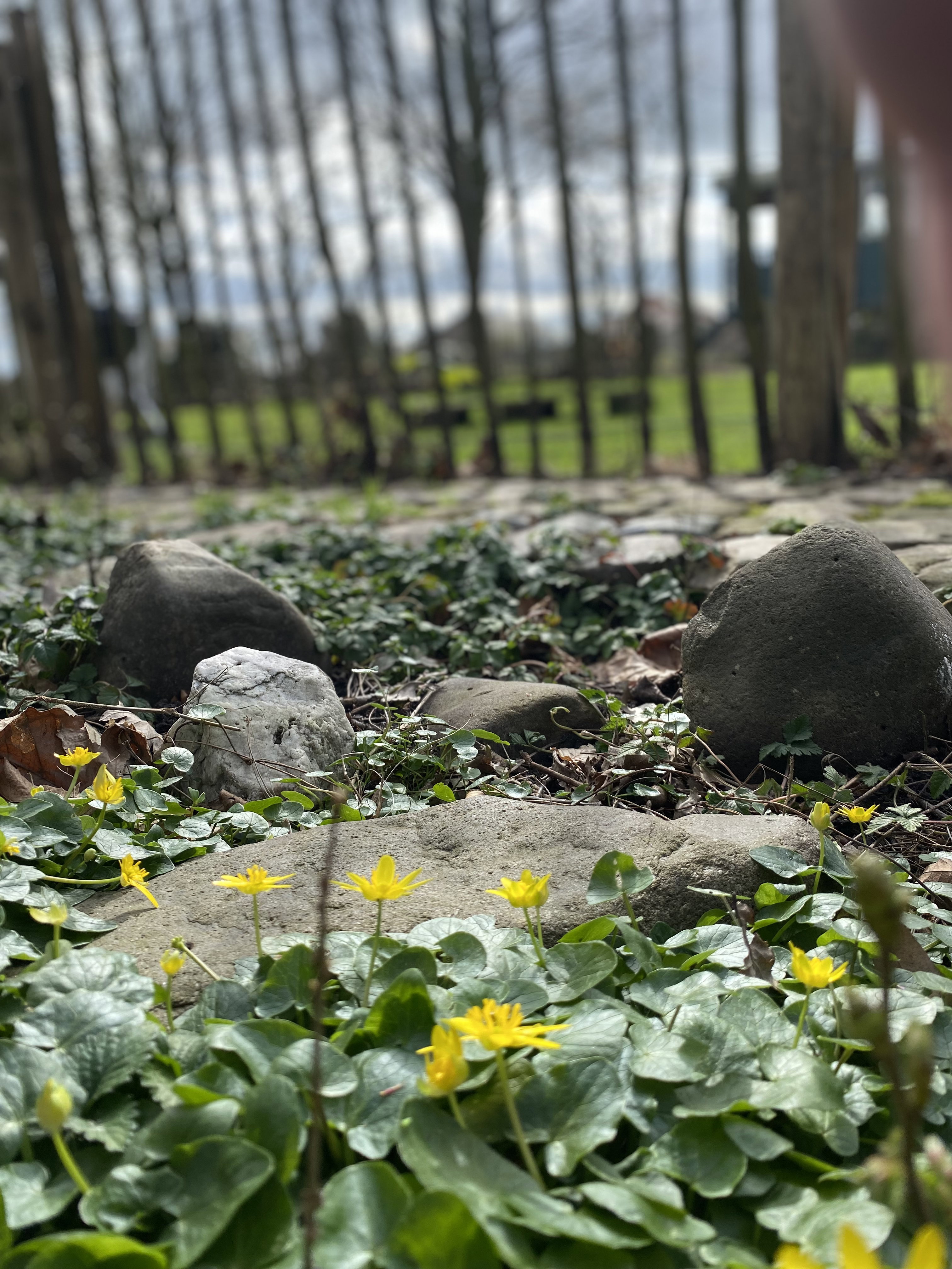 Natuurhuisje in OOSTEEKLO