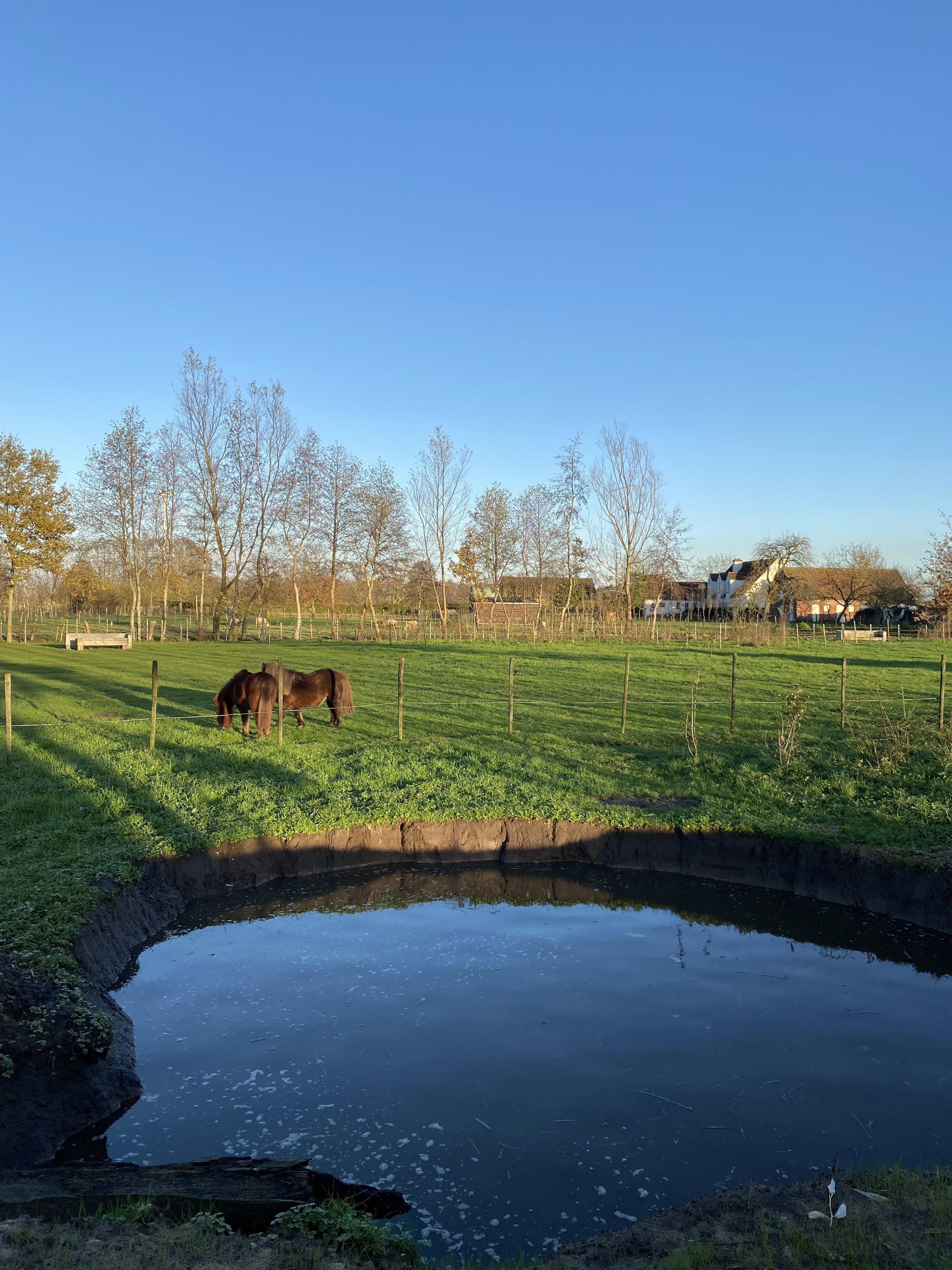 Natuurhuisje in OOSTEEKLO