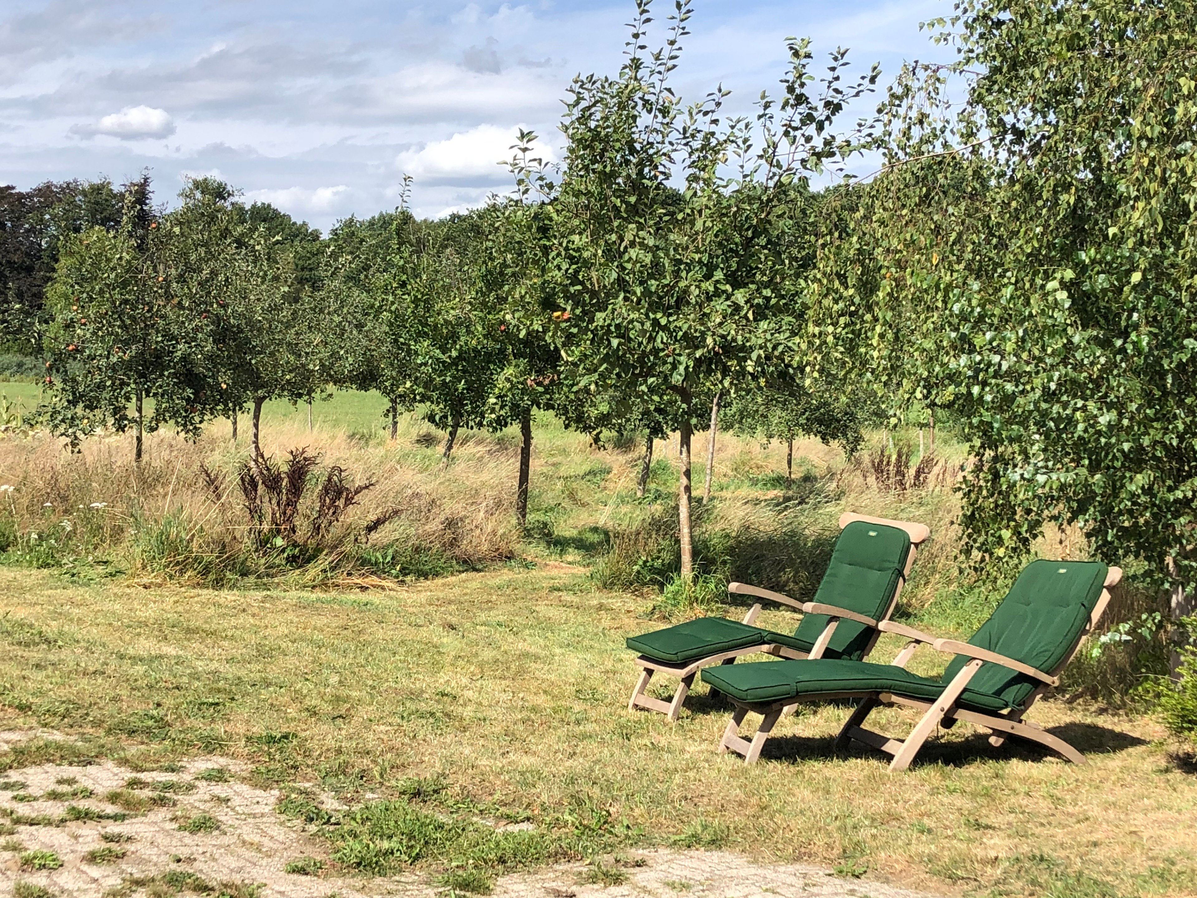 Casa nella natura a Almen
