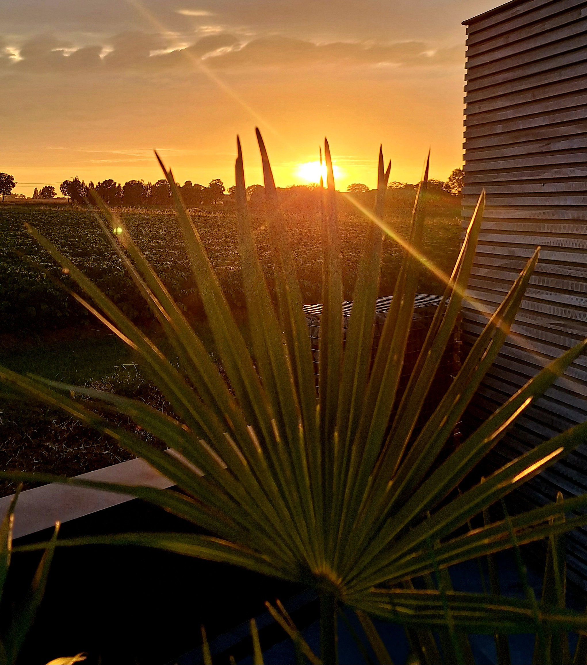 Casa nella natura a Poperinge