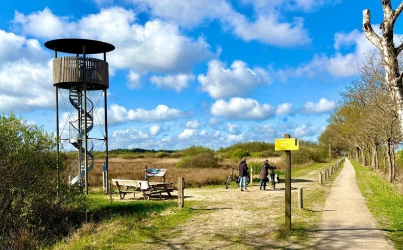 - image: 19