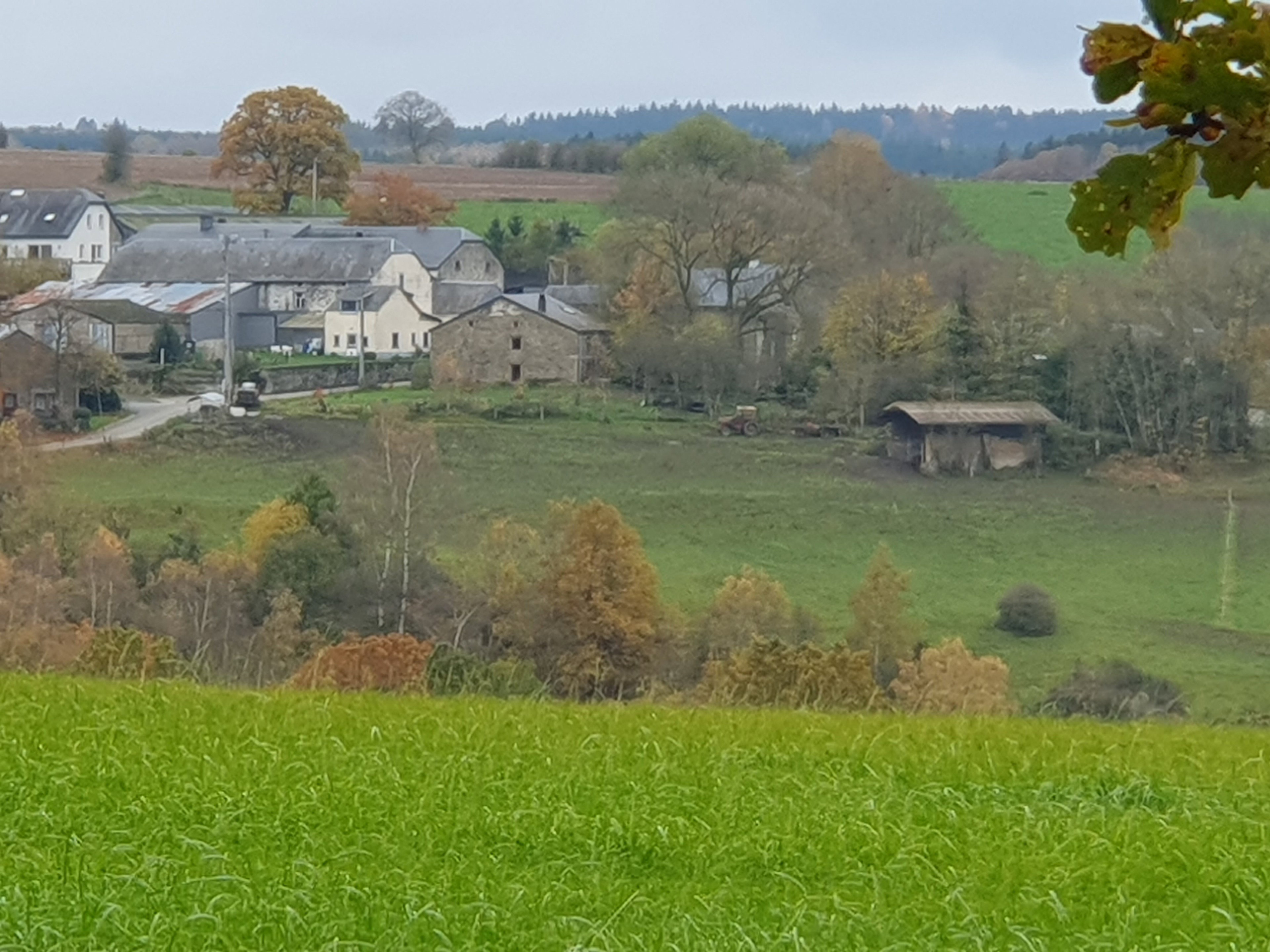 Casa nella natura a Engreux