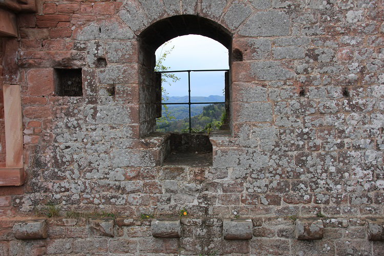 - image: 25