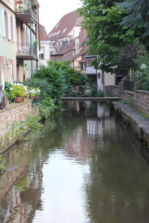 - image: 43