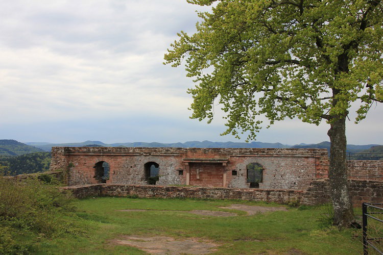 - image: 23