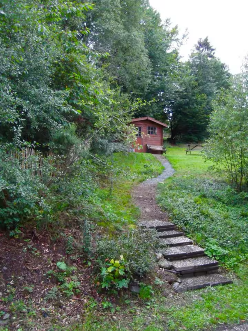 - image: 25