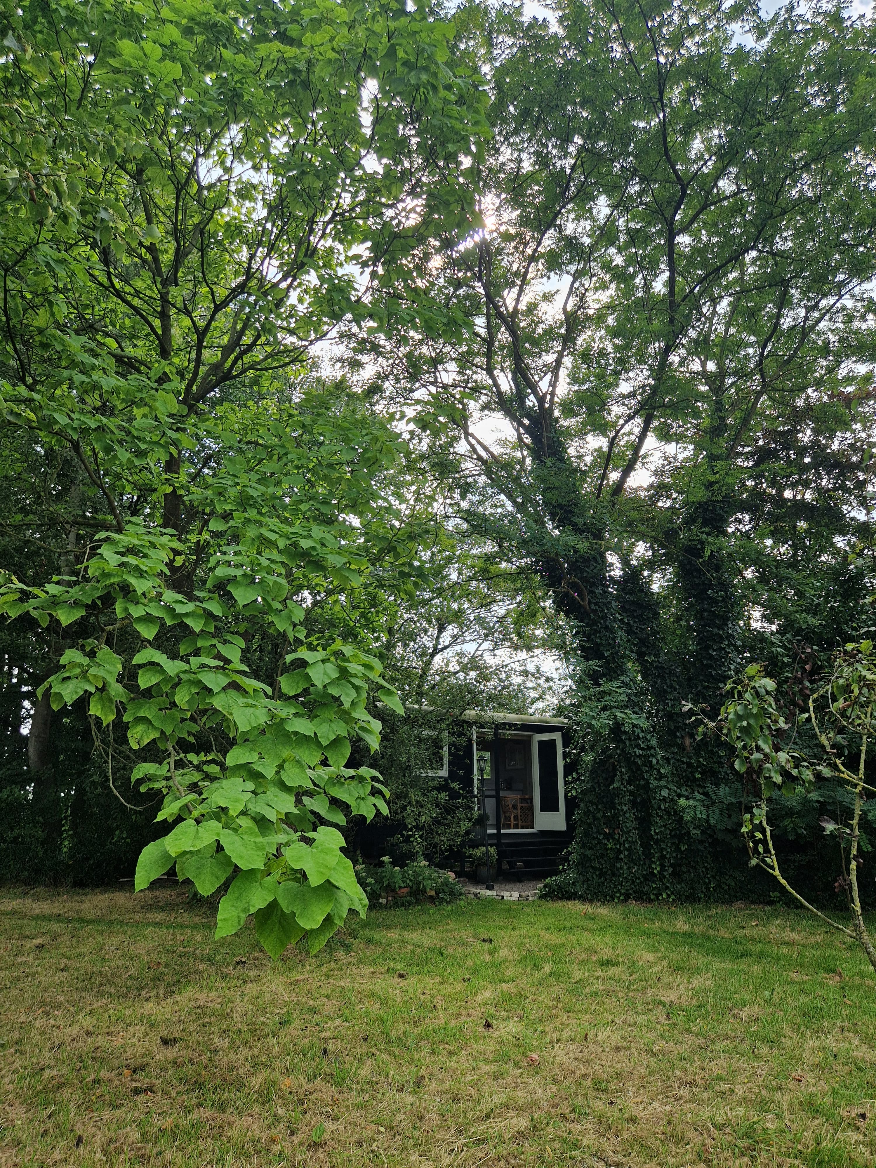 Natuurhuisje in Boelenslaan