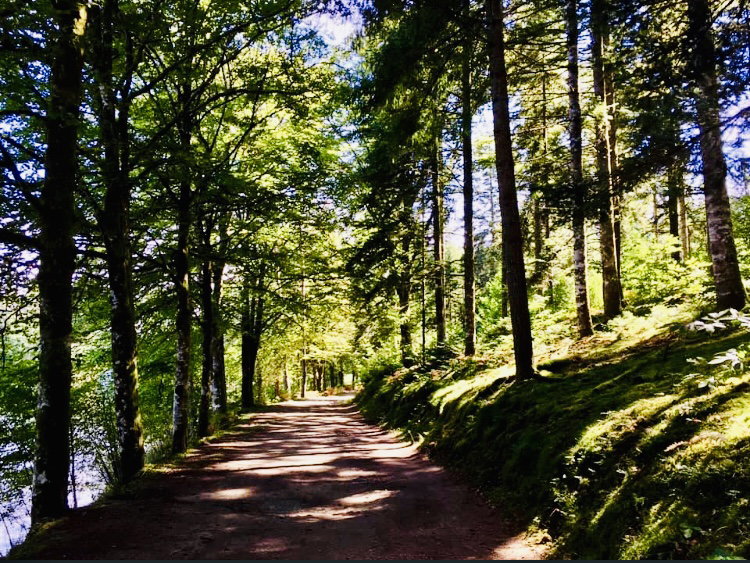 - image: 17