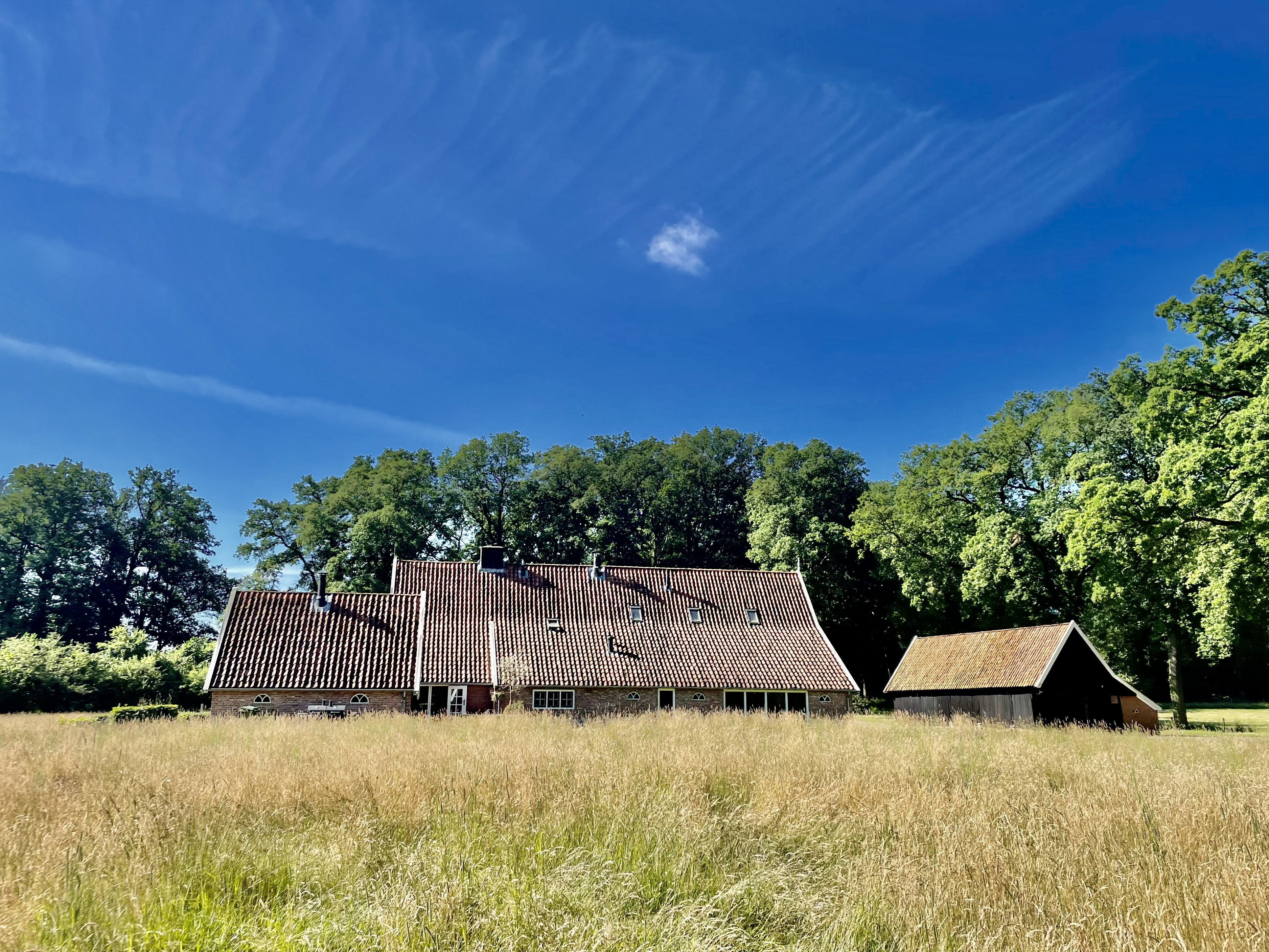 Natuurhuisje in de Lutte