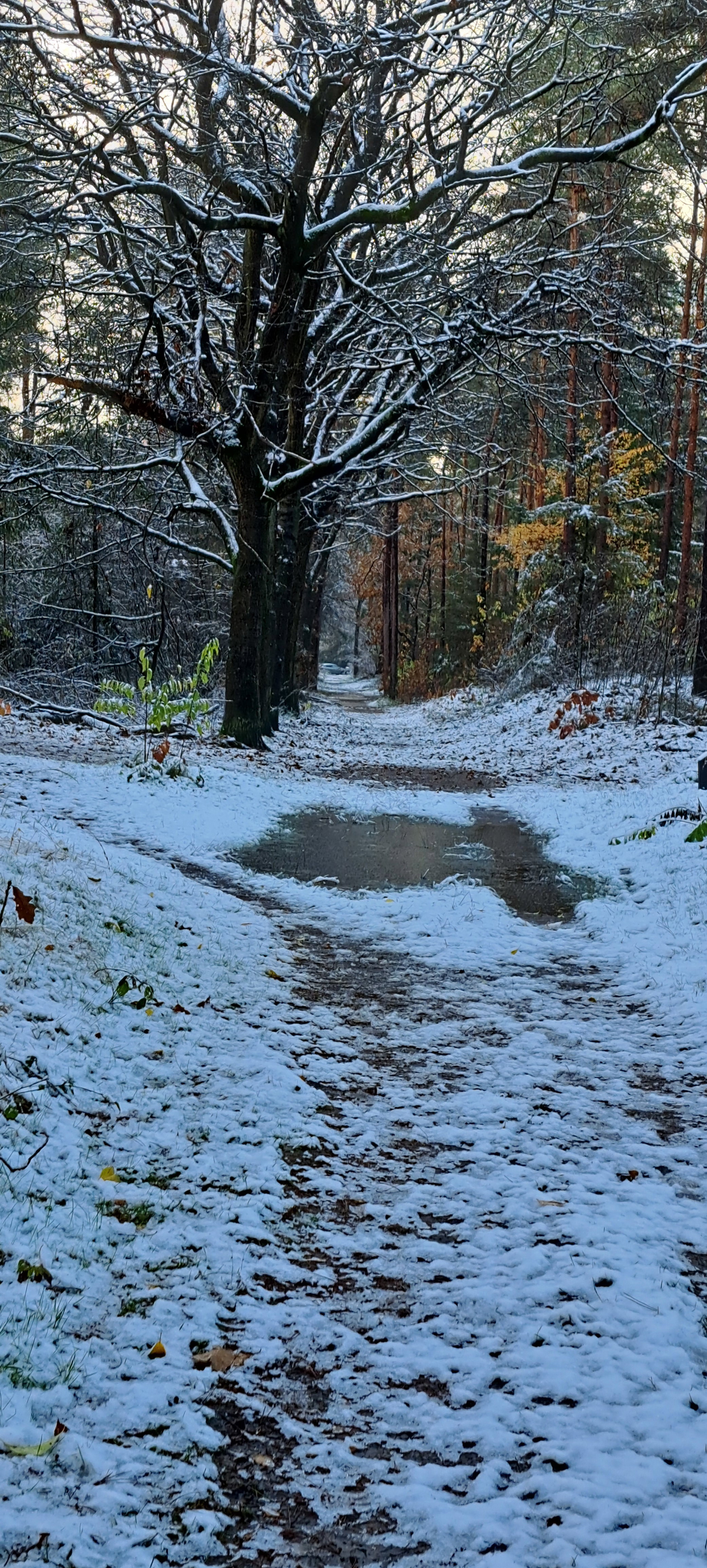 - image: 35