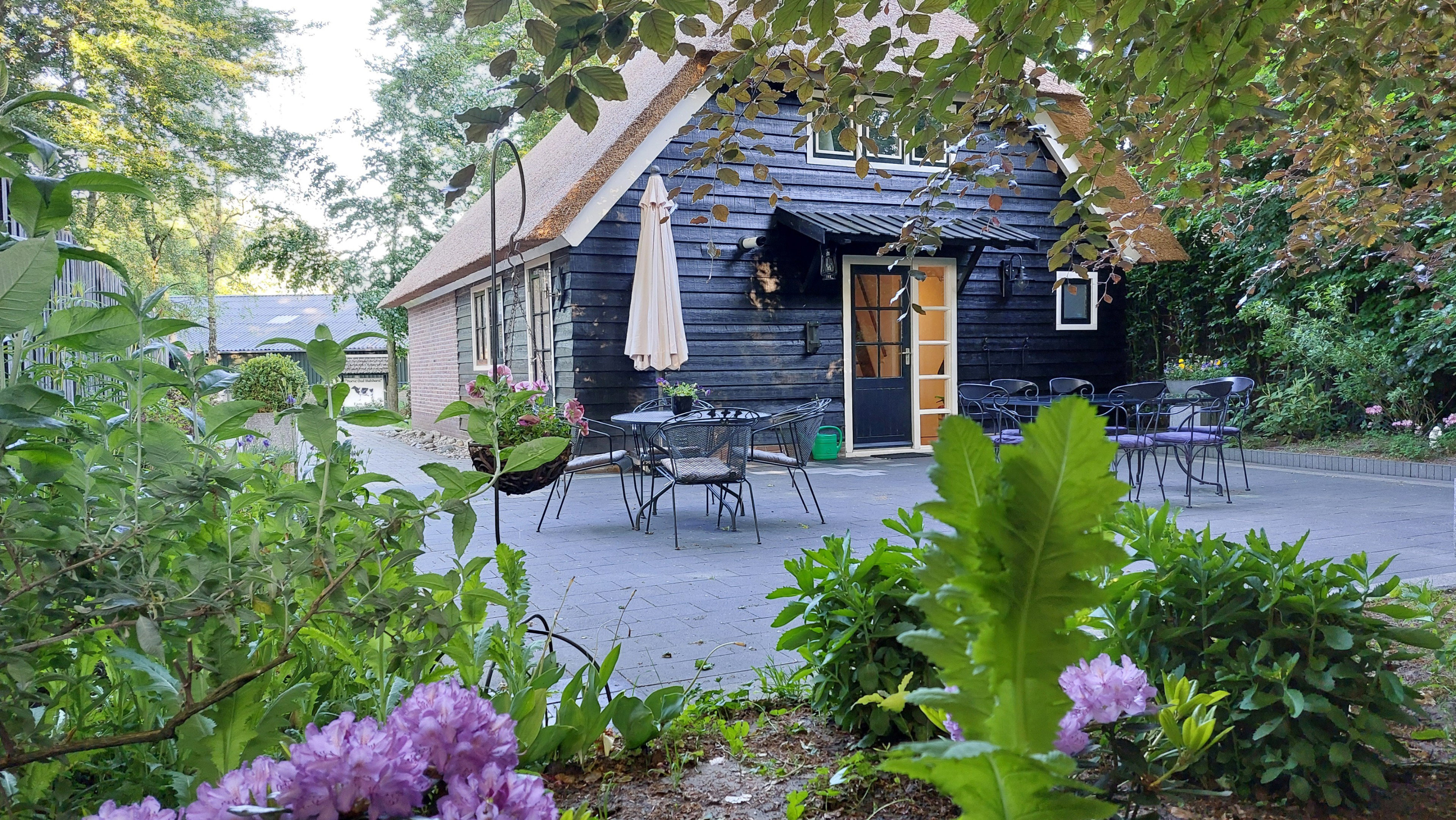 Natuurhuisje in Hulshorst