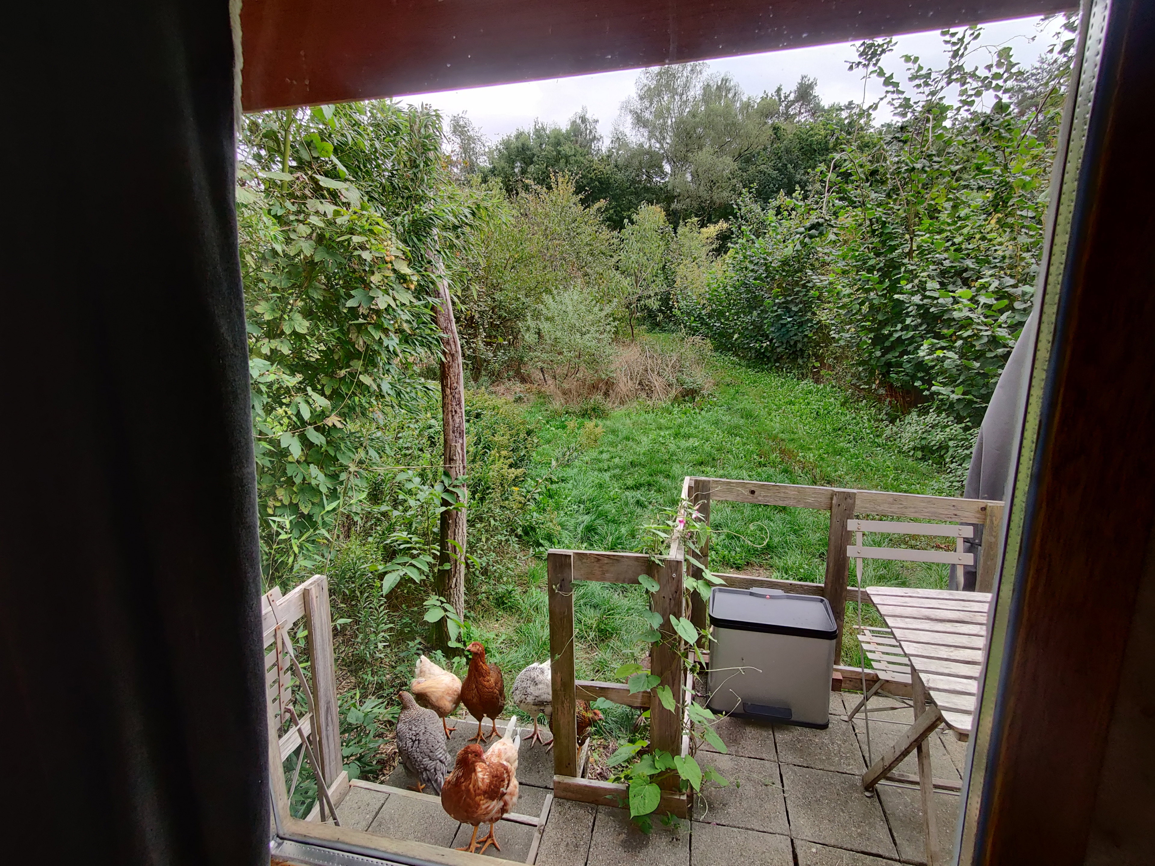 Casa nella natura a Gennep