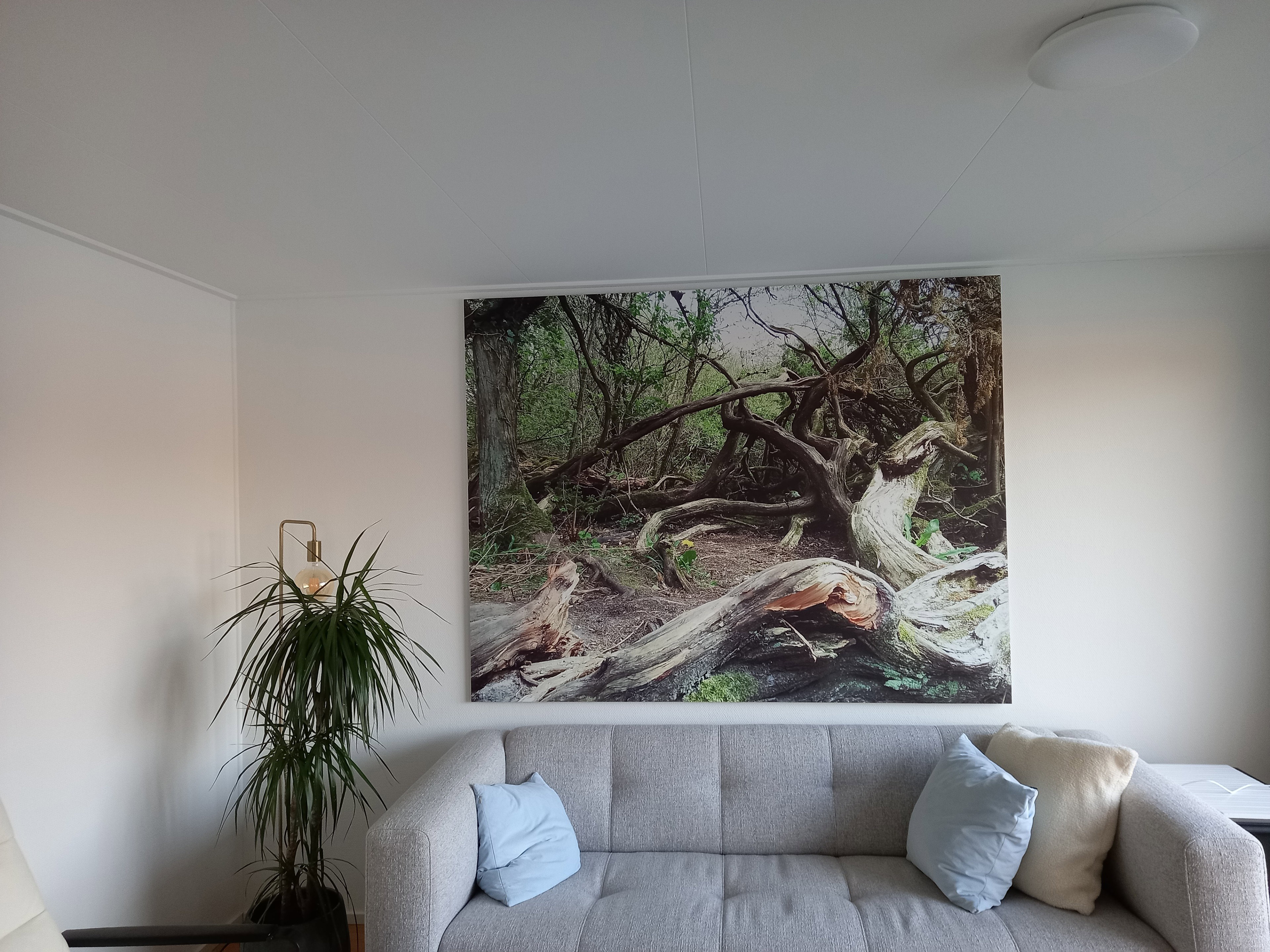 Natuurhuisje in Oosterwolde
