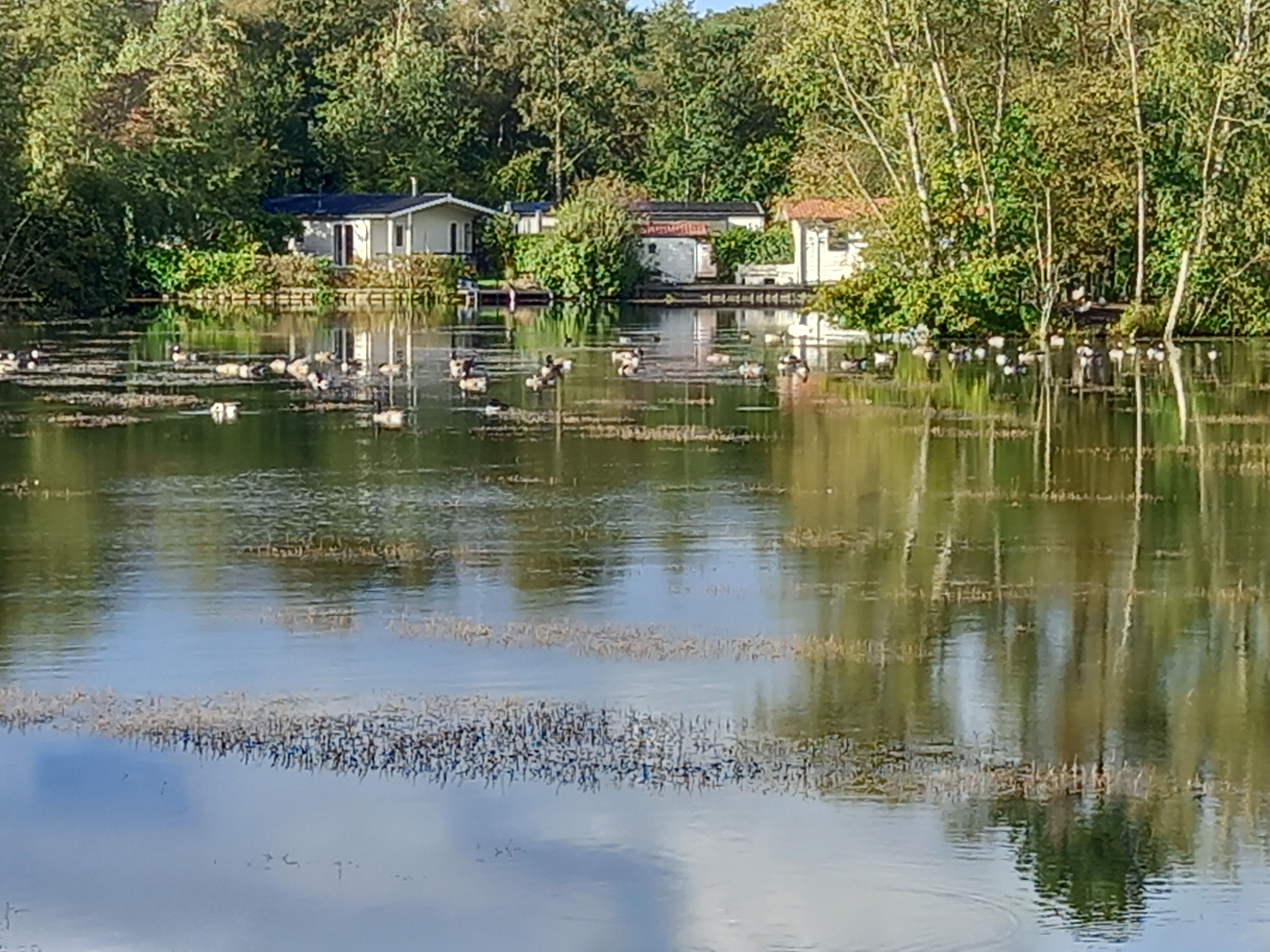 Natuurhuisje in Oosterwolde