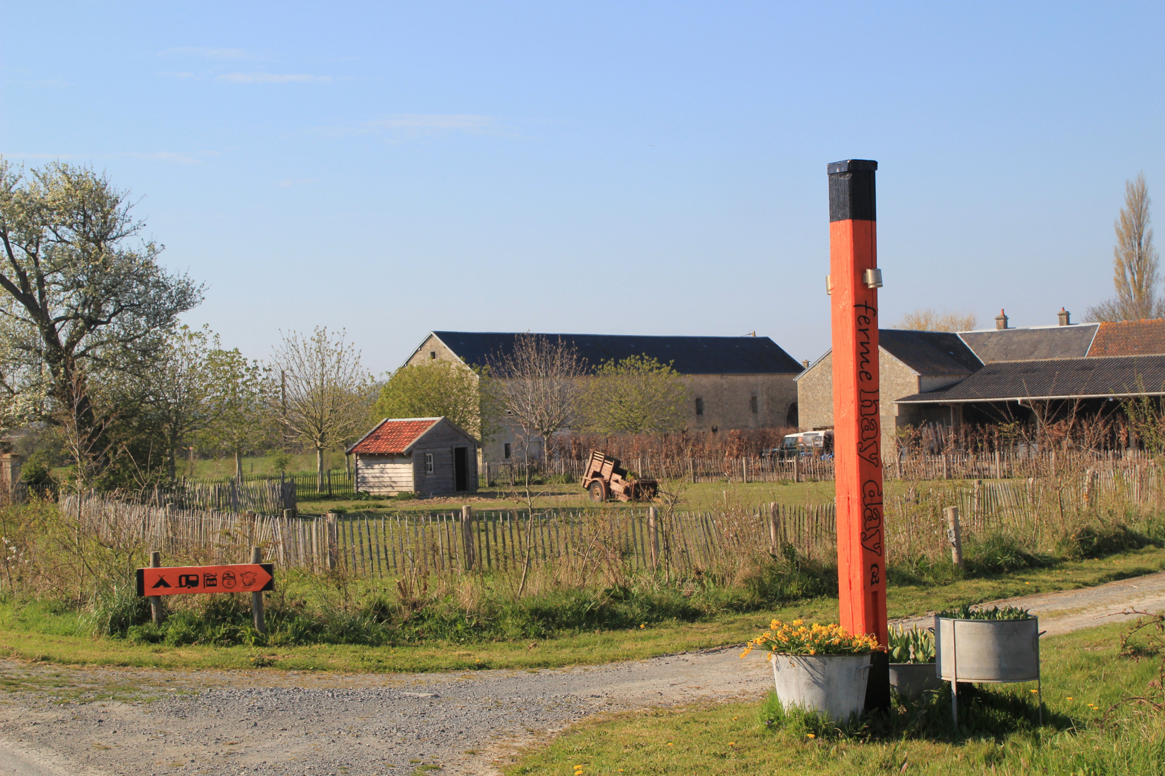 - image: 13