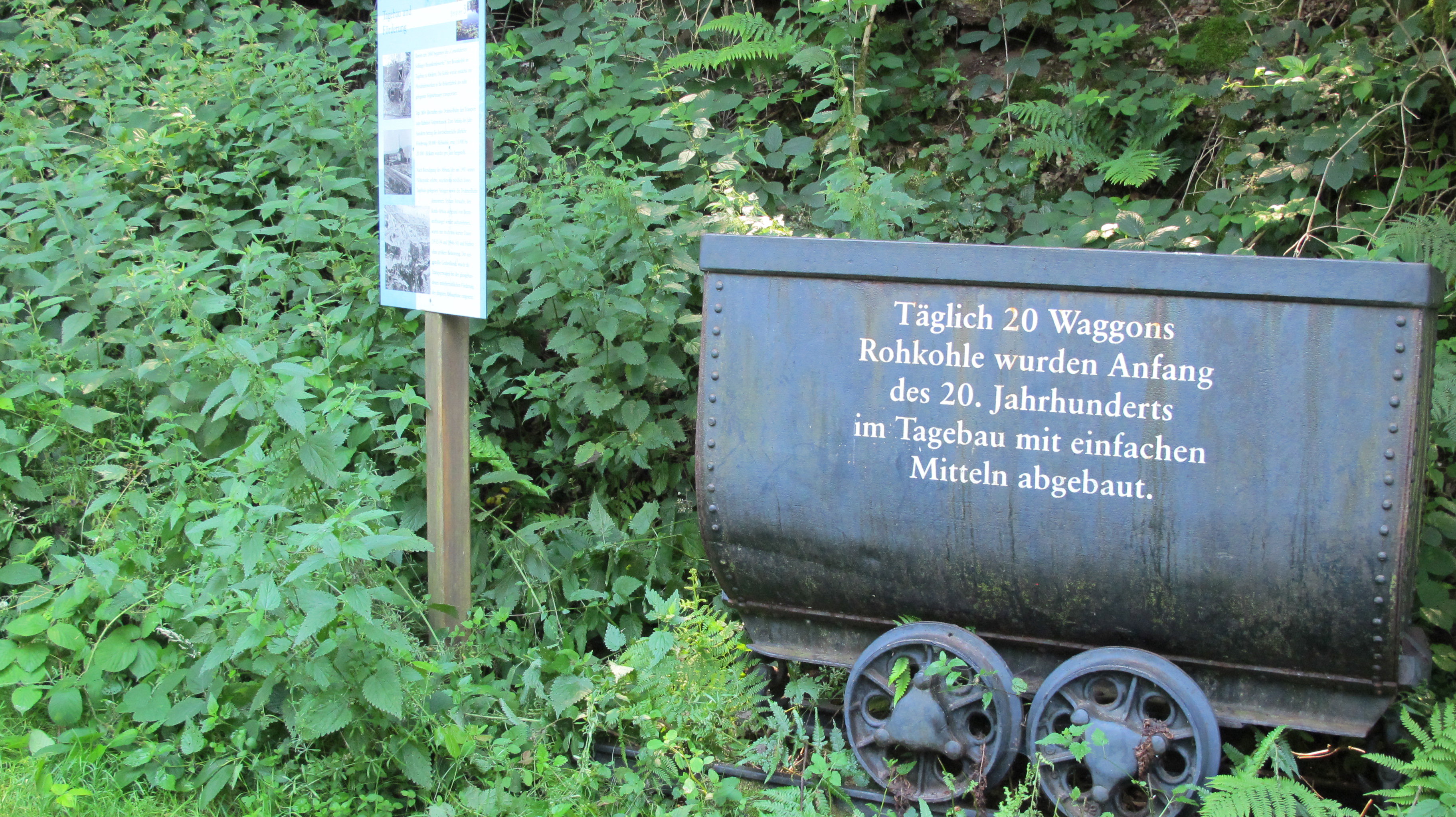 - image: 41