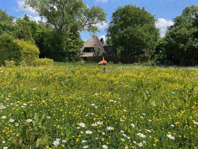 Naturhäuschen in Schoorl