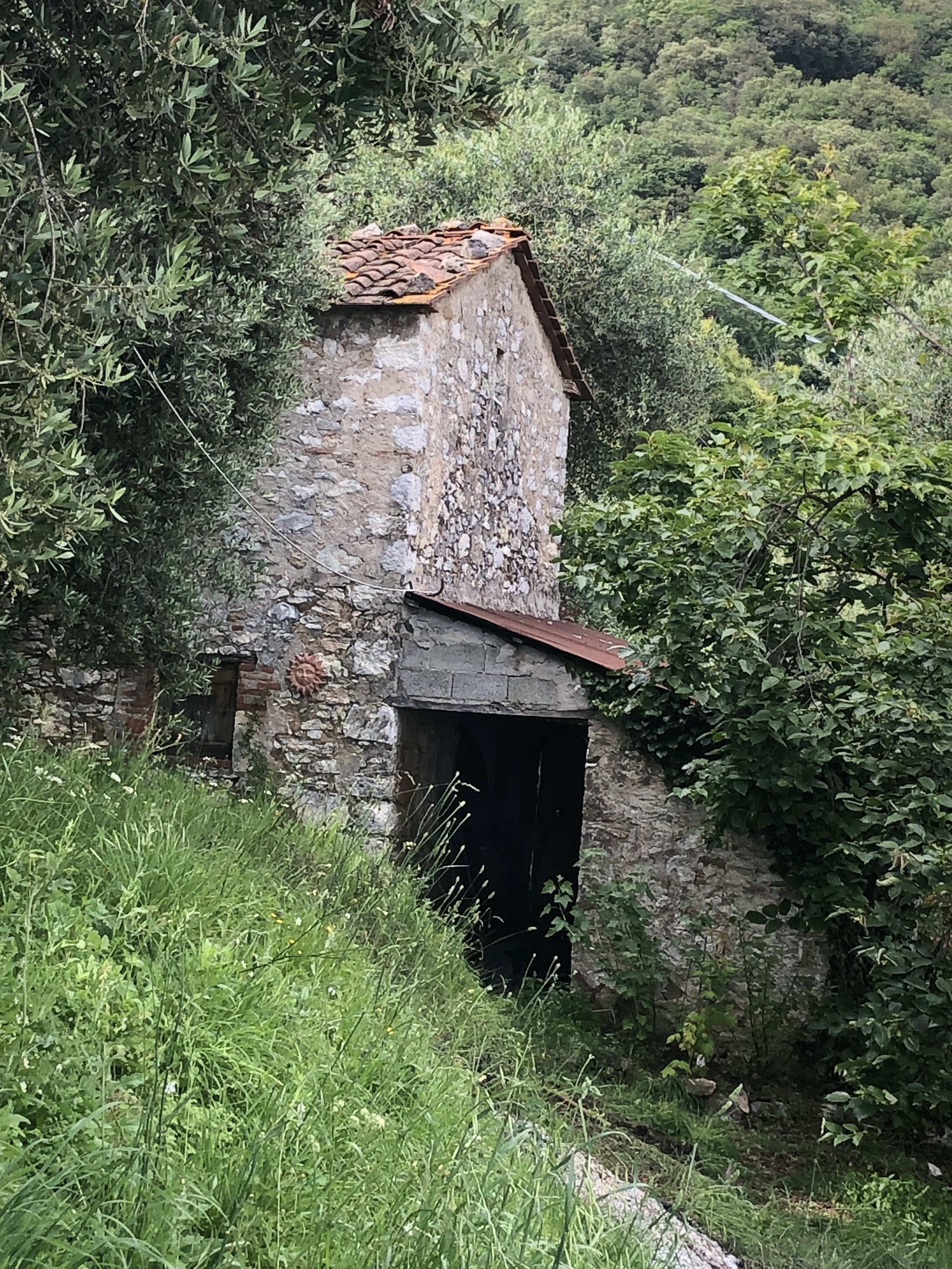 - image: 27
