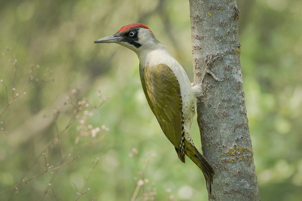 Naturhäuschen in Teteringen