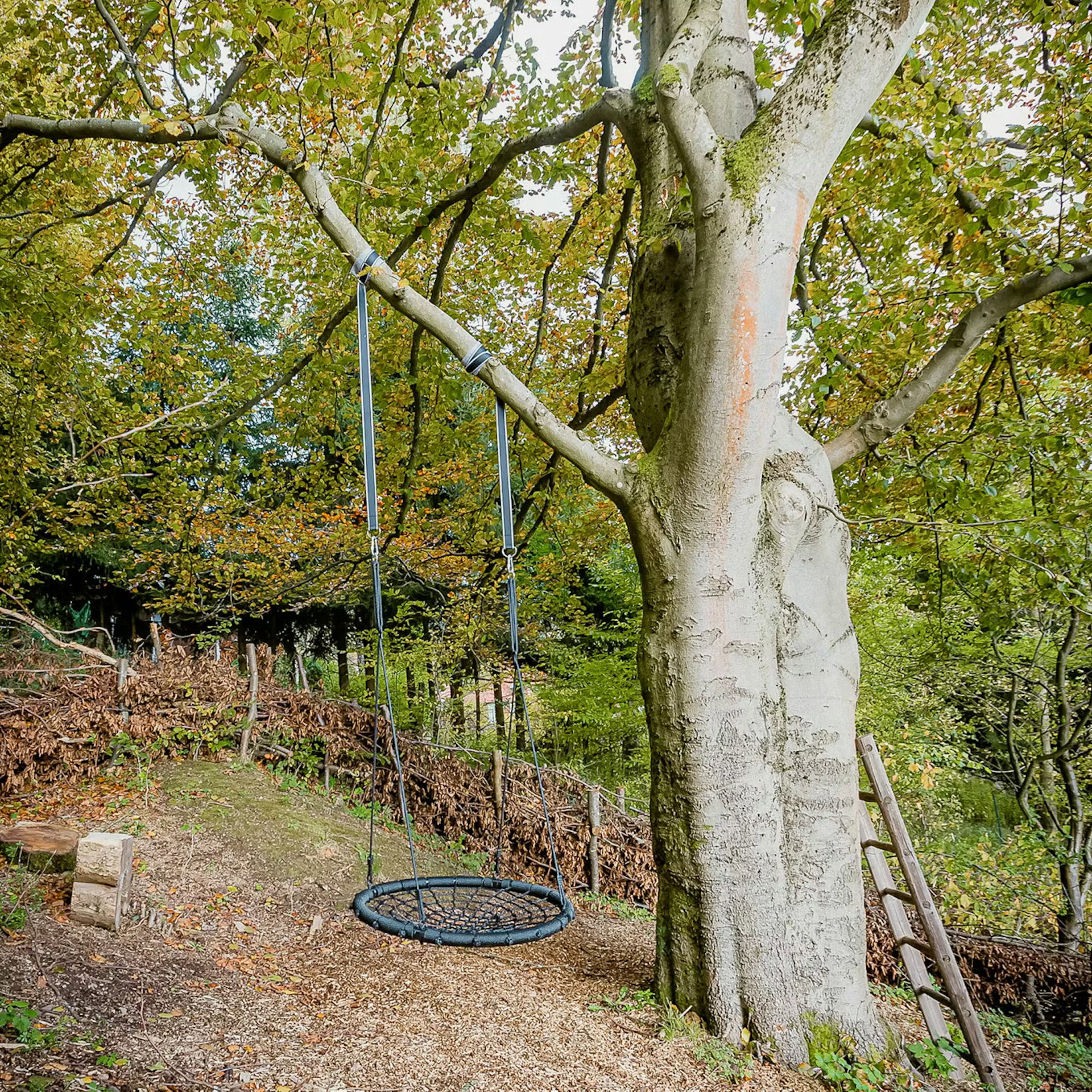 Natuurhuisje in Zella-Mehlis