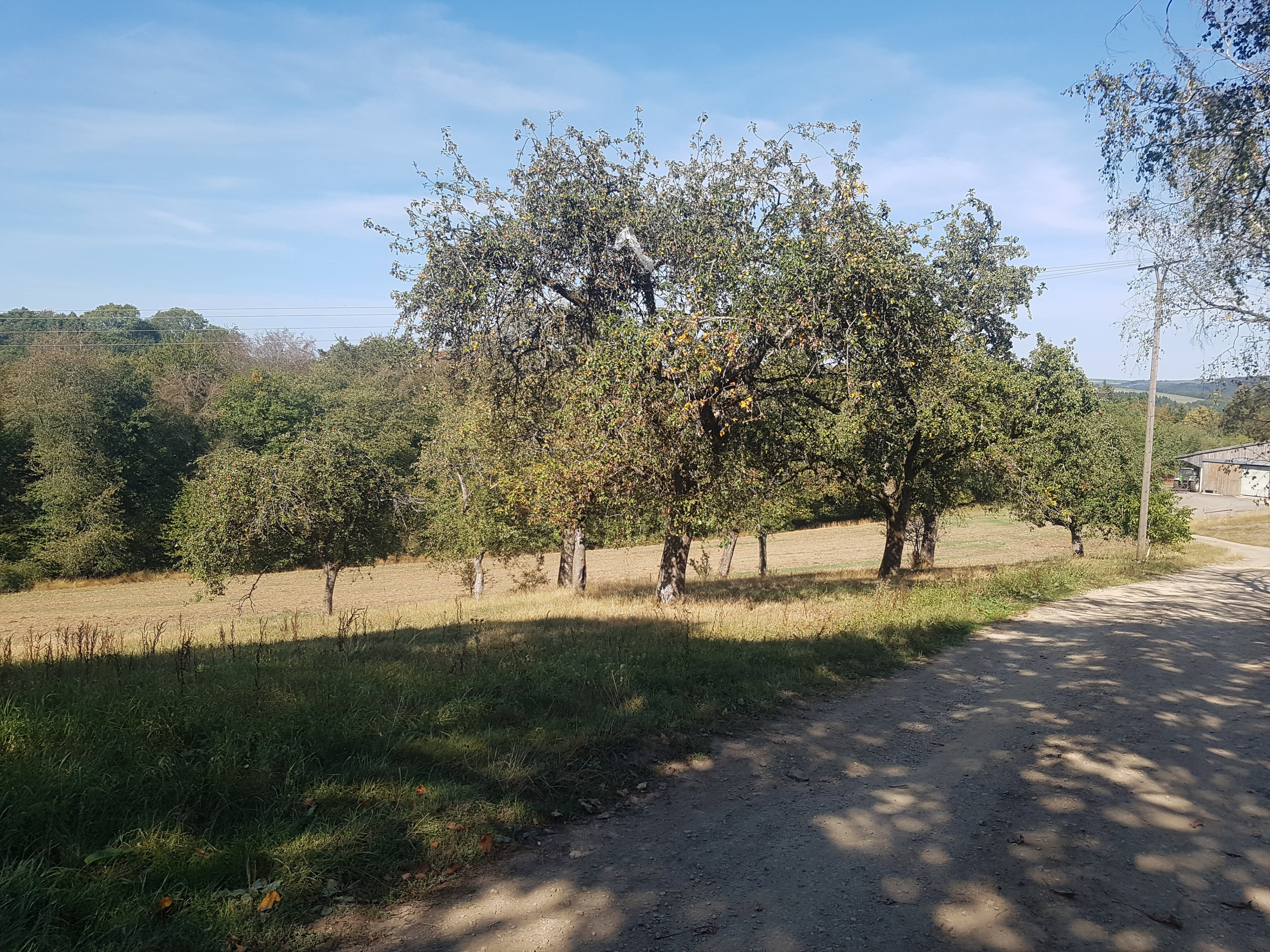 Natuurhuisje in Neuerburg