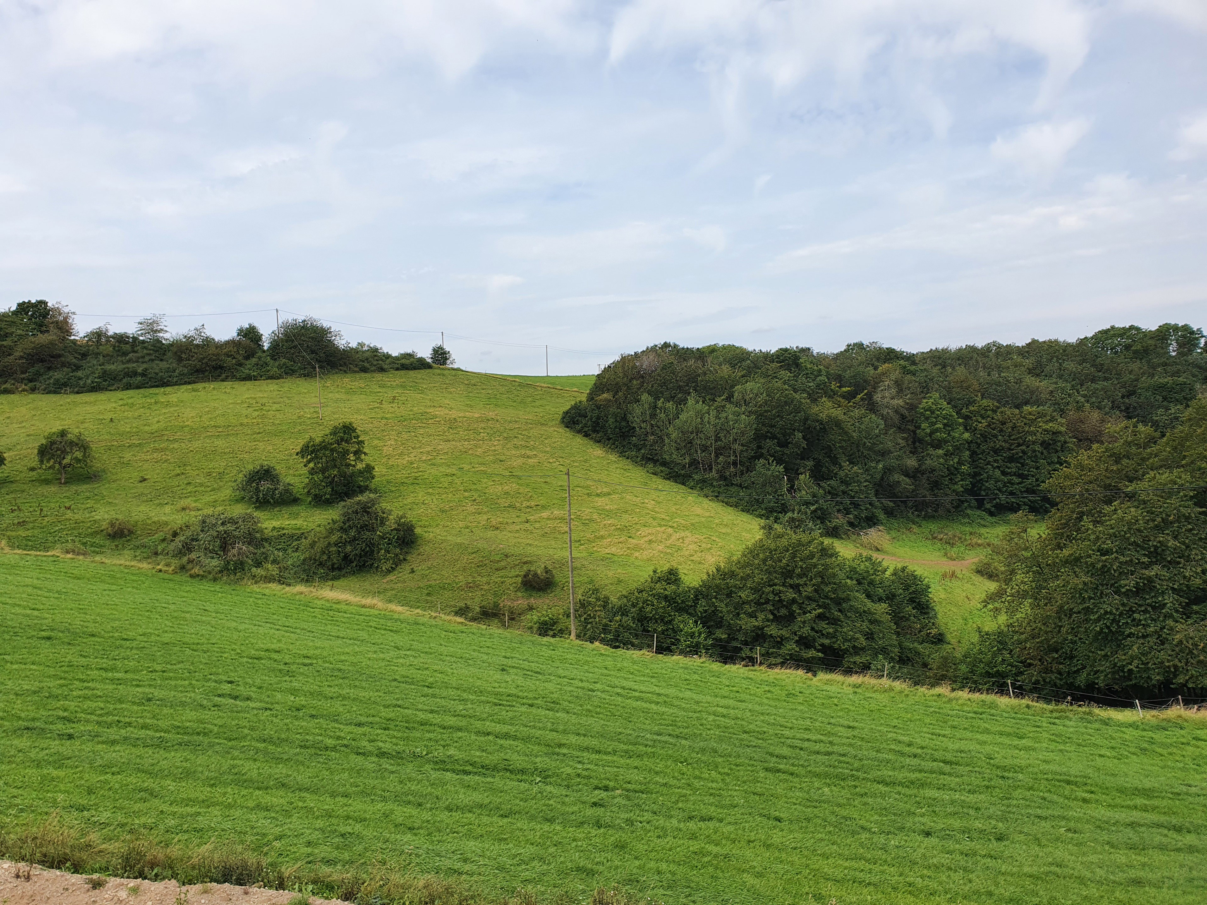 Natuurhuisje in Neuerburg